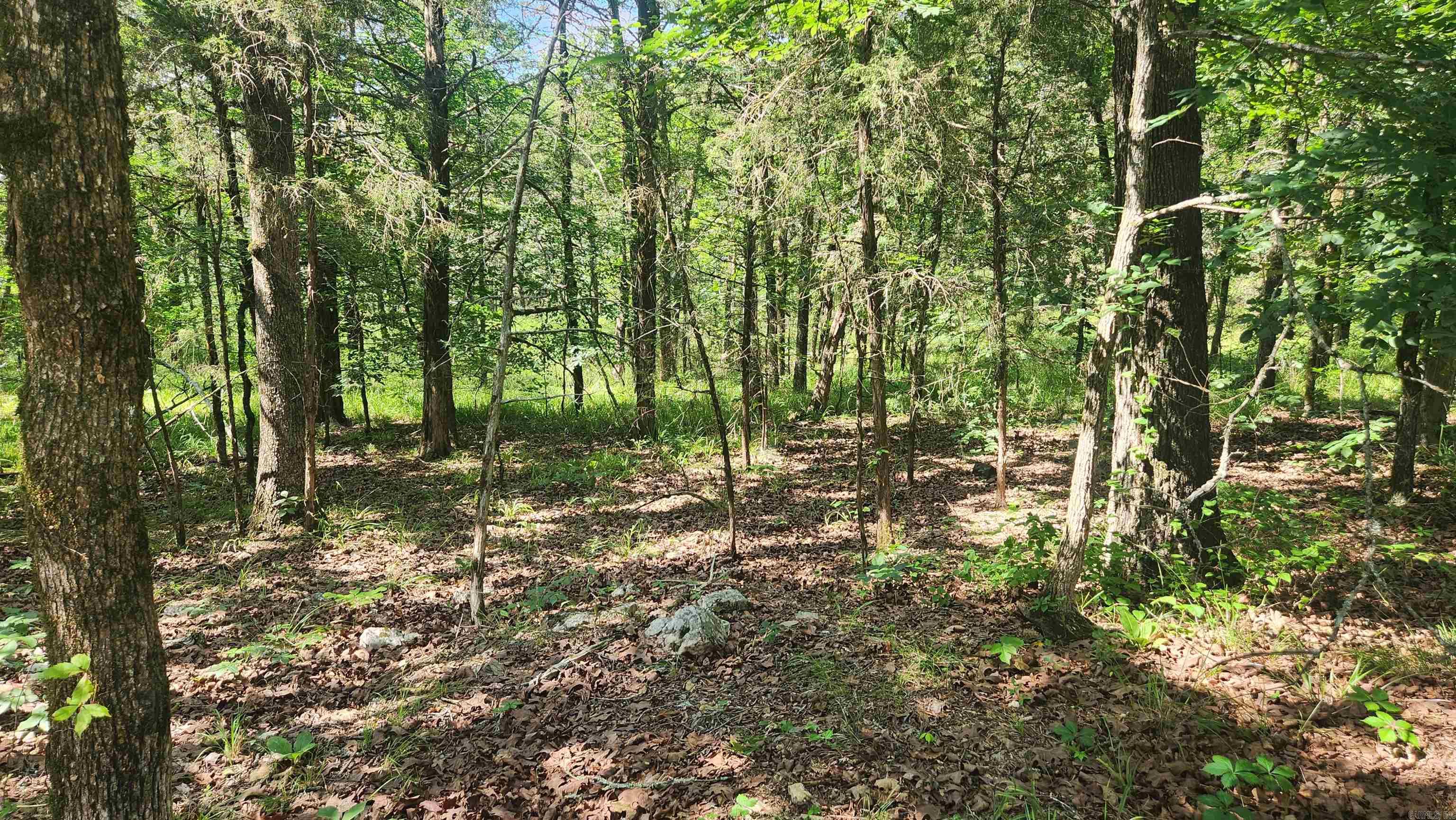 TBD Yonder Tree Rd  Story, AR
