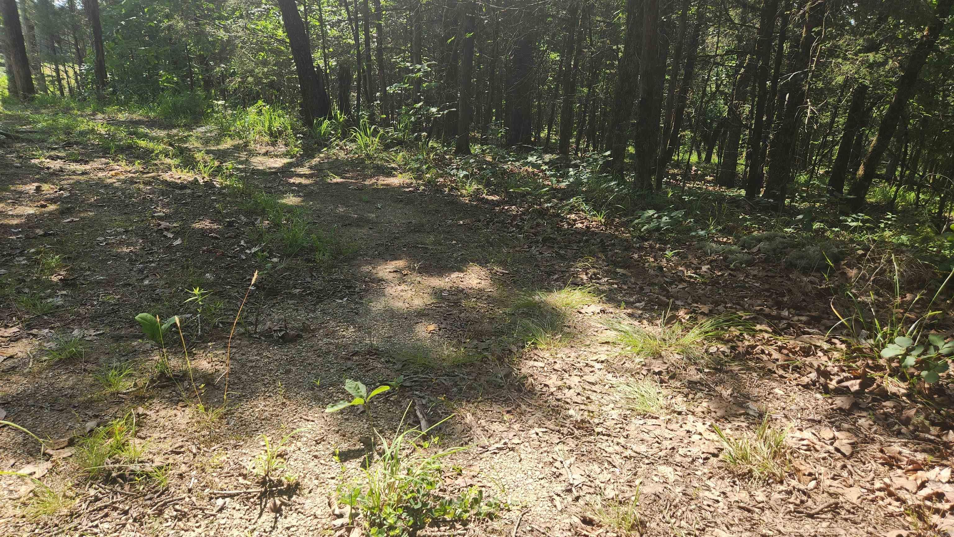 TBD Yonder Tree Rd  Story, AR