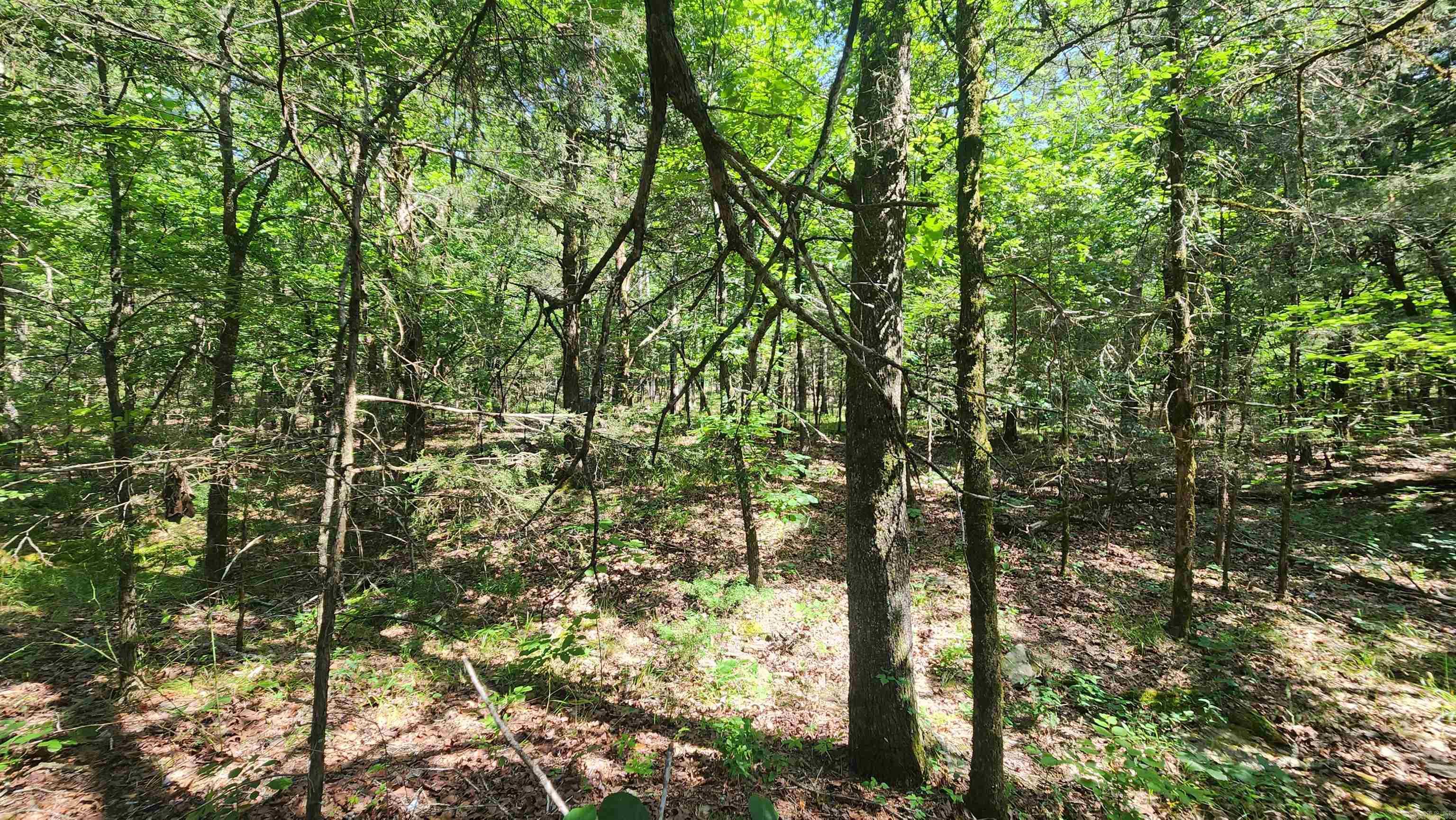 TBD Yonder Tree Rd  Story, AR