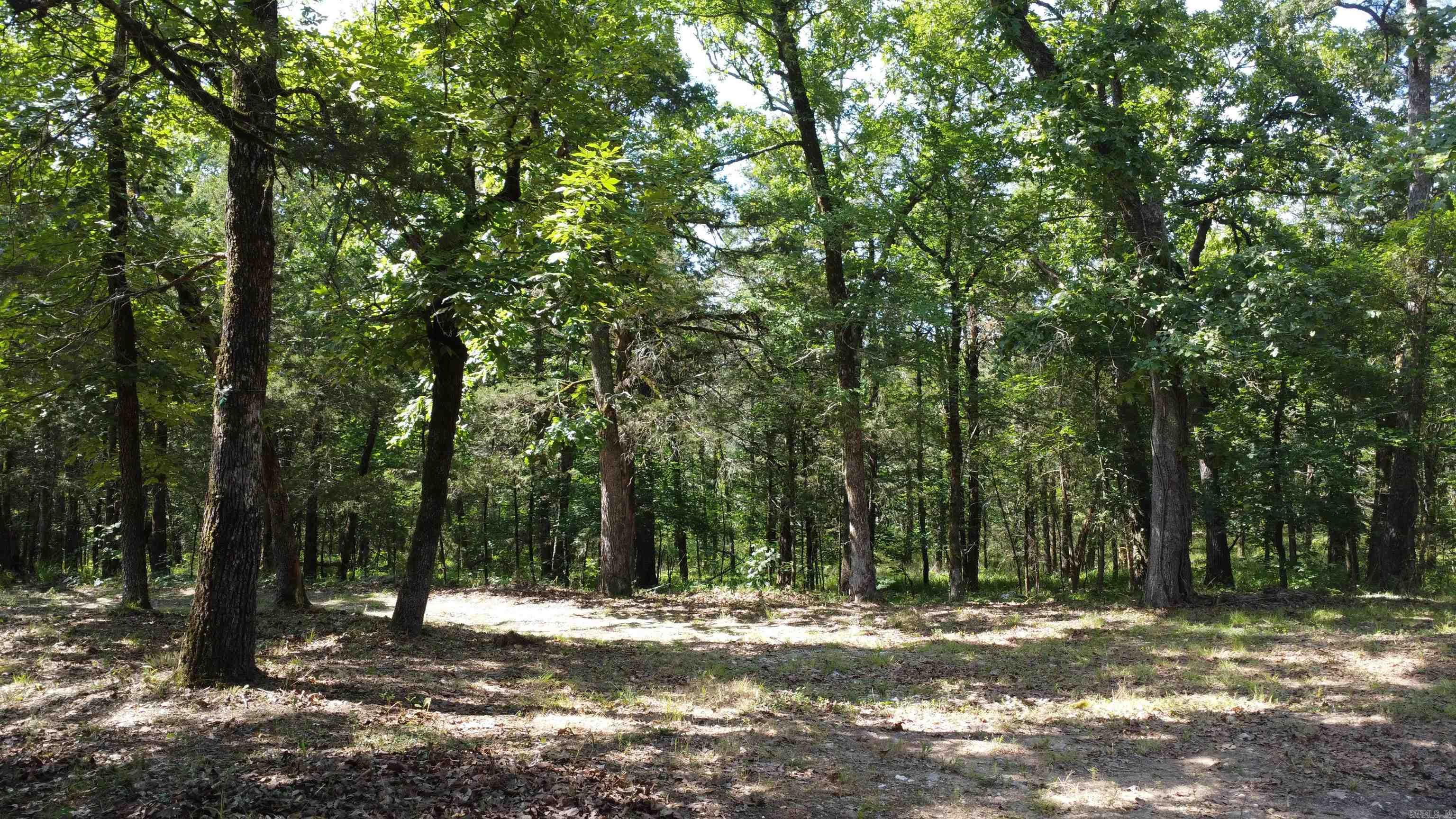 TBD Yonder Tree Rd  Story, AR