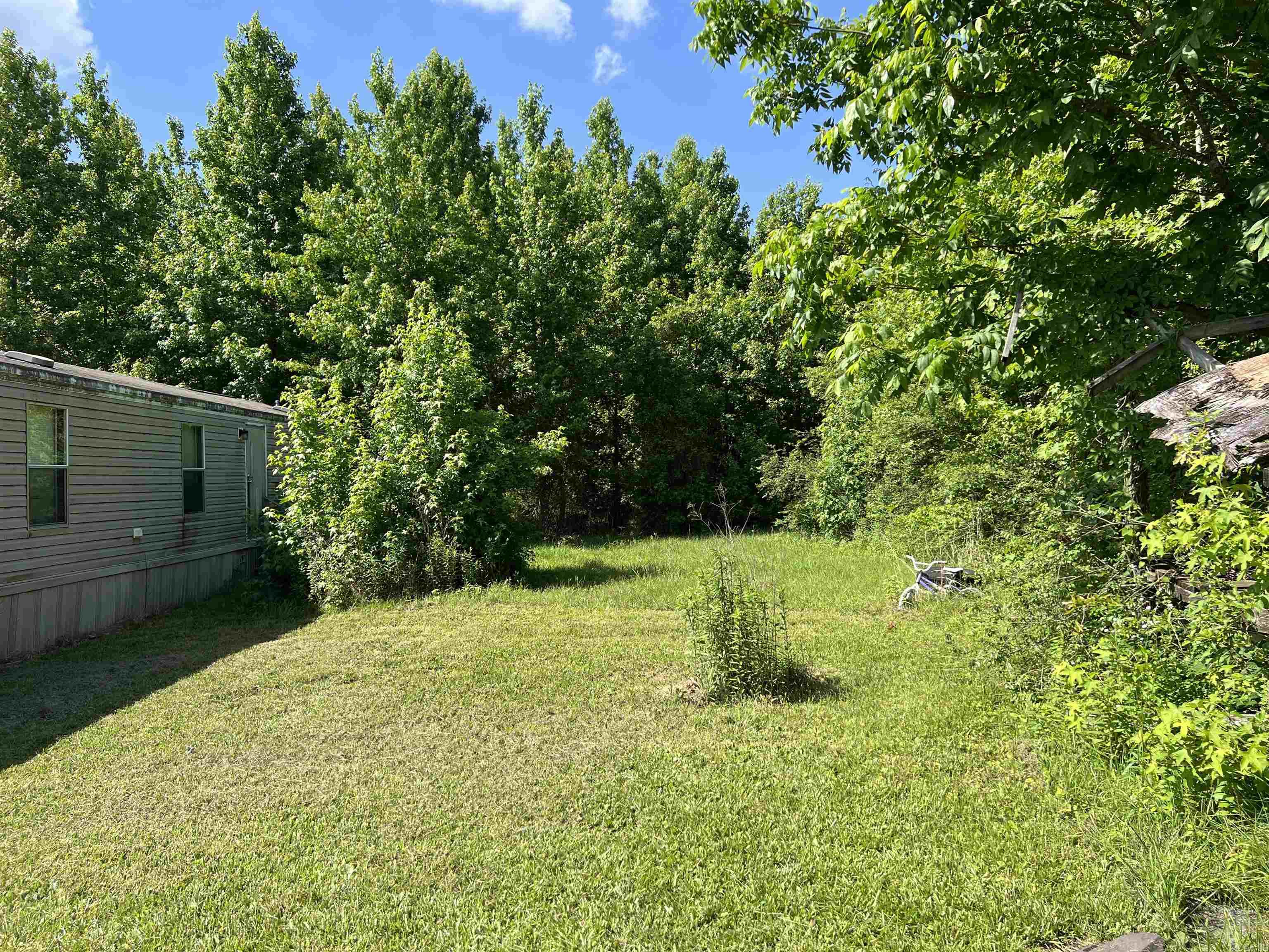 142 Blissful  Mena, AR