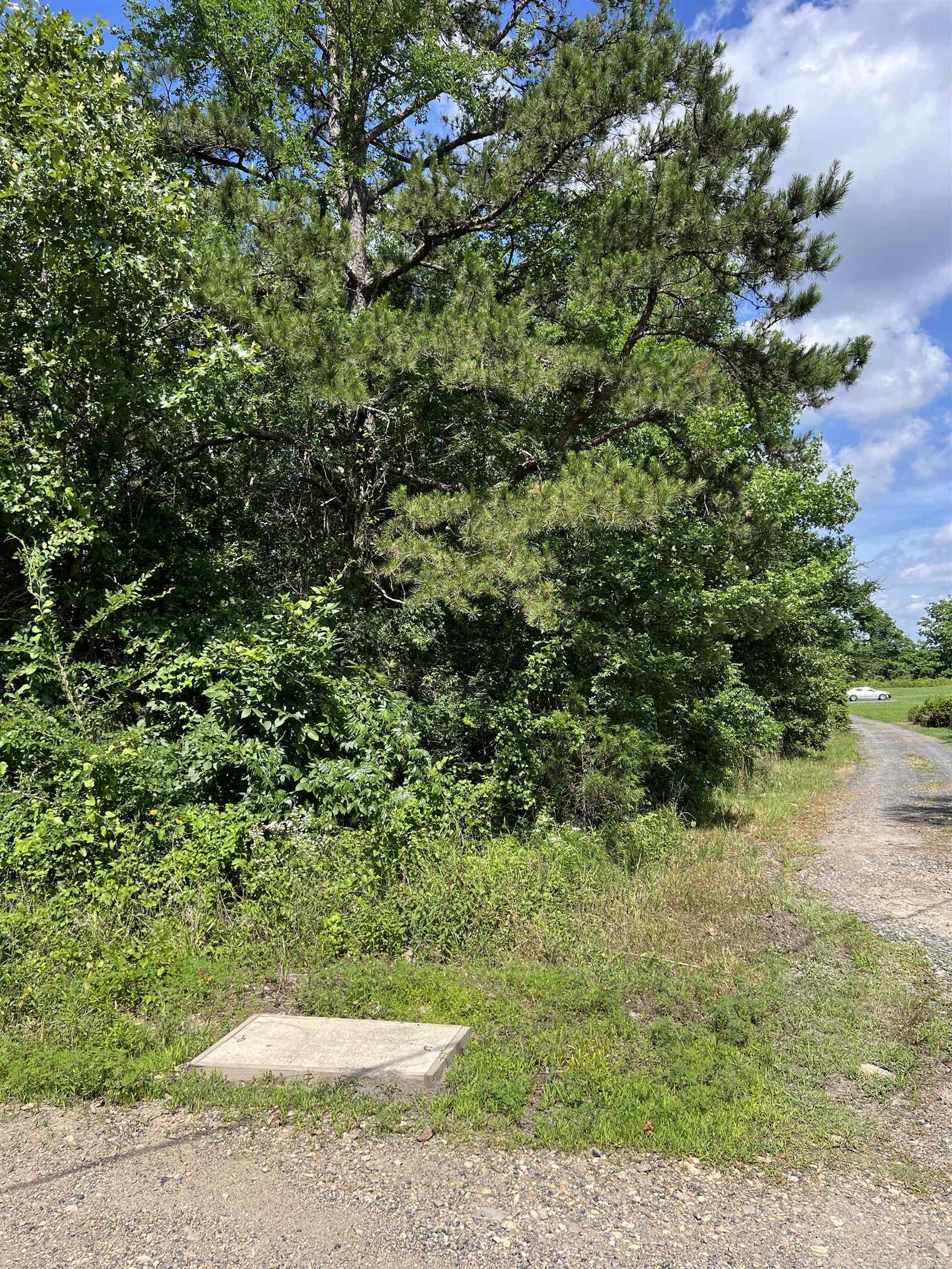 142 Blissful  Mena, AR