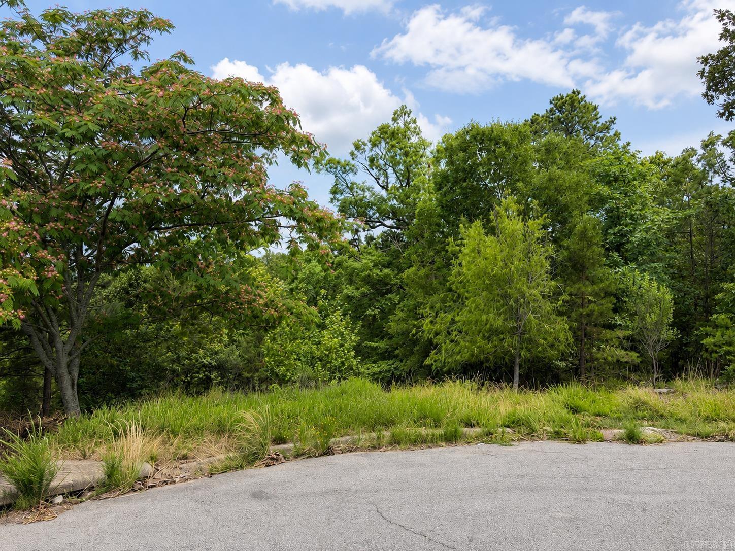 34 Basswood  Maumelle, AR