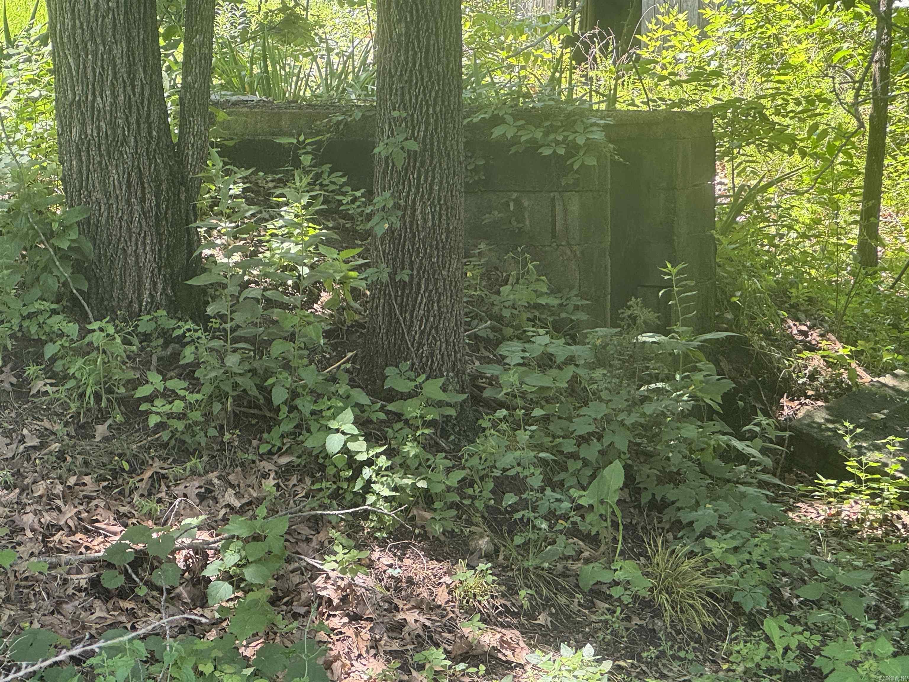 2753 MC 4023  Everton, AR