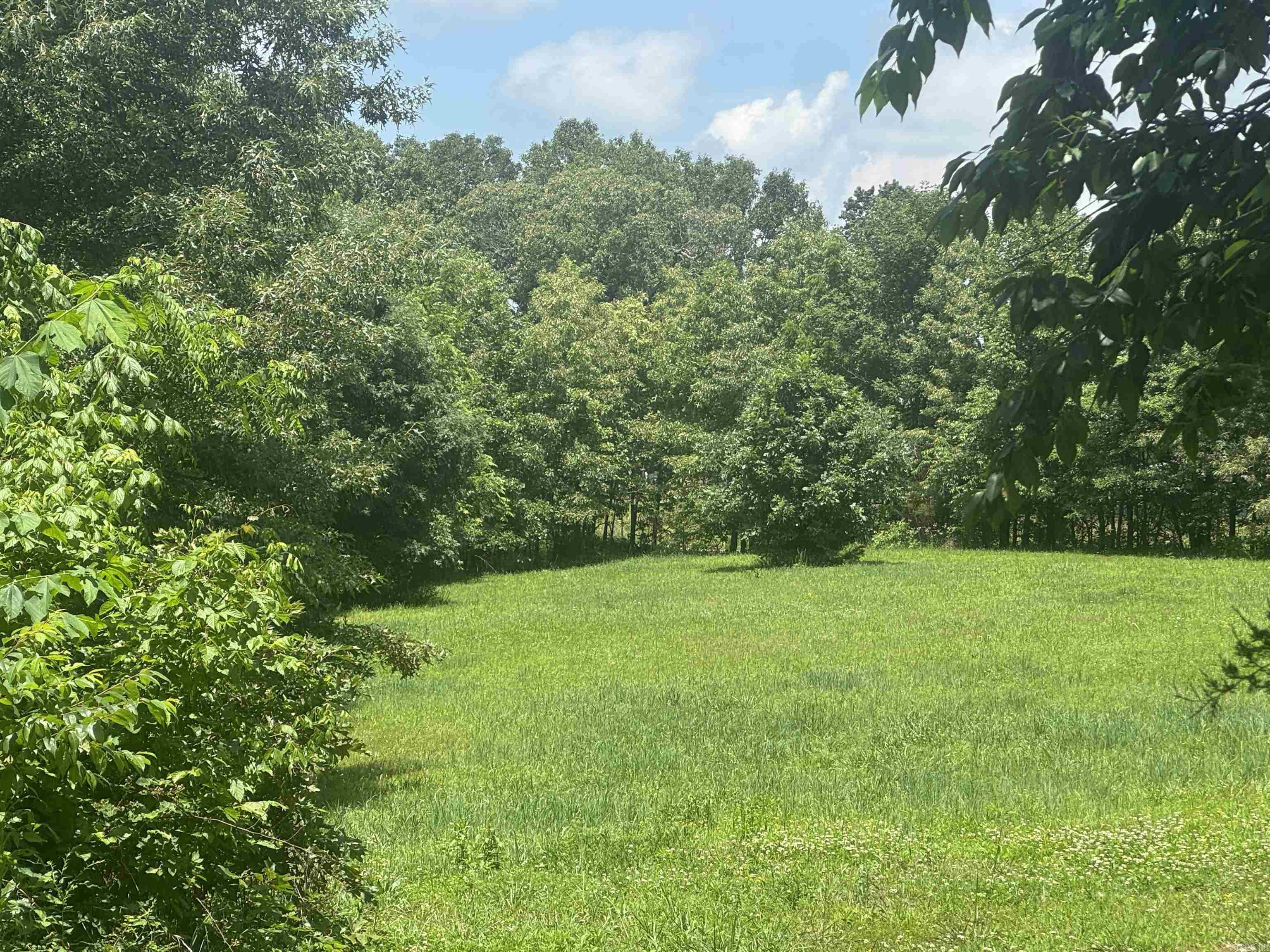 2753 MC 4023  Everton, AR
