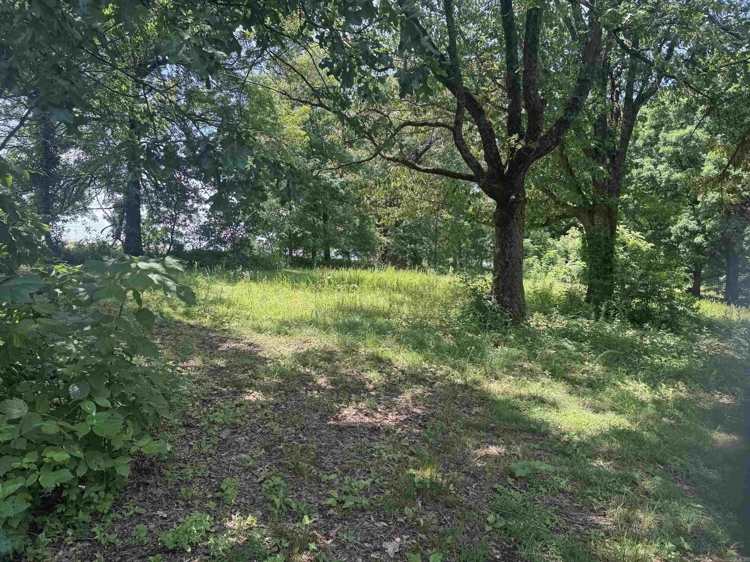 2753 MC 4023  Everton, AR