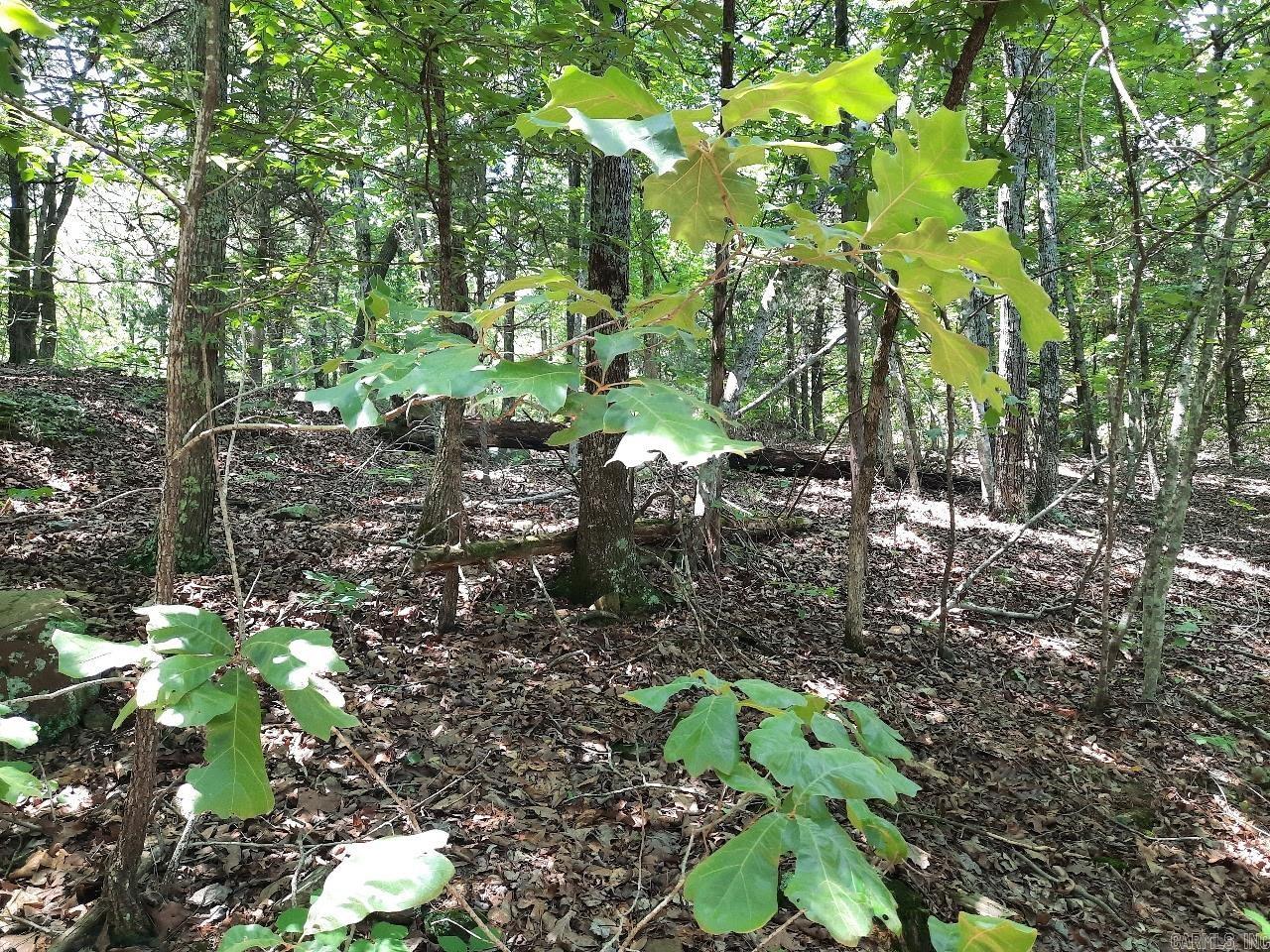 00 Wildhaven  Mountain View, AR