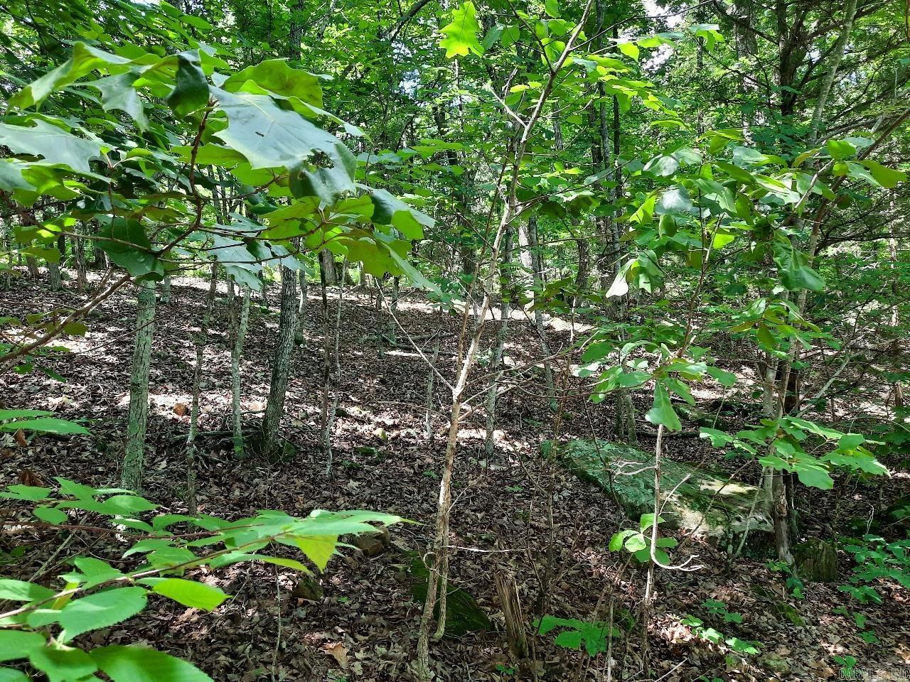 00 Wildhaven  Mountain View, AR