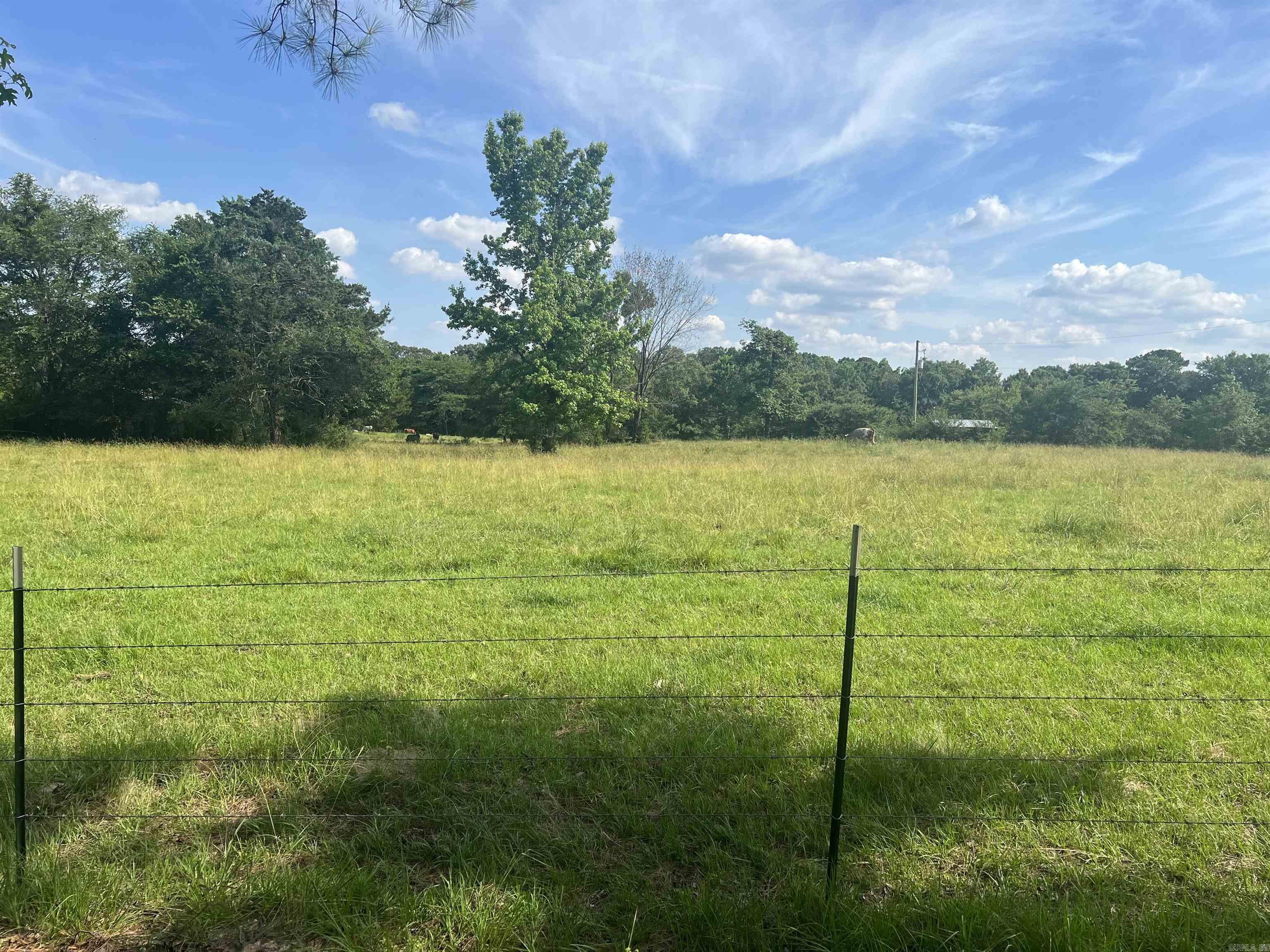 xx tract 1 Mt View  Glenwood, AR