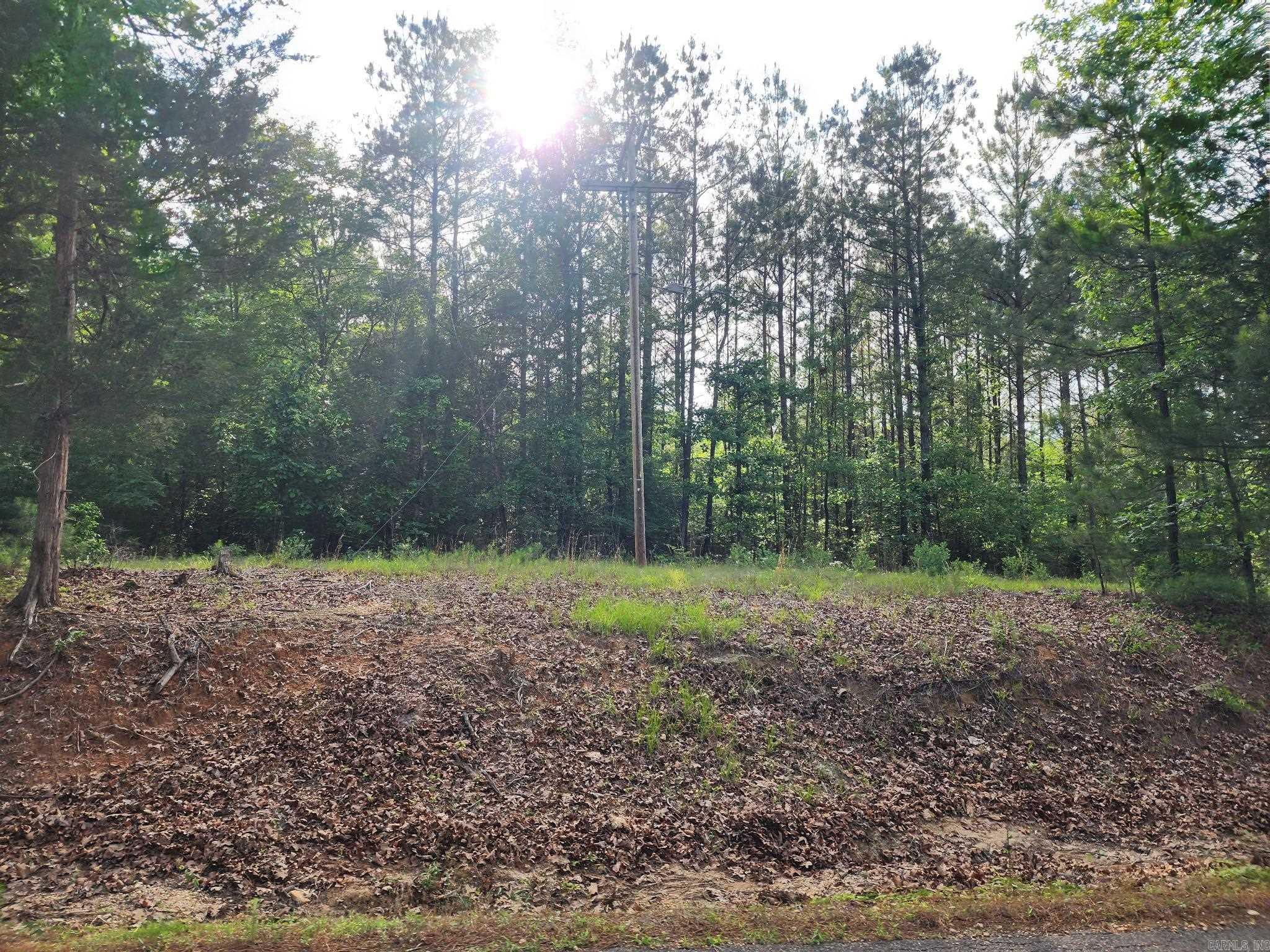 20 Acres Southfield  El Dorado, AR