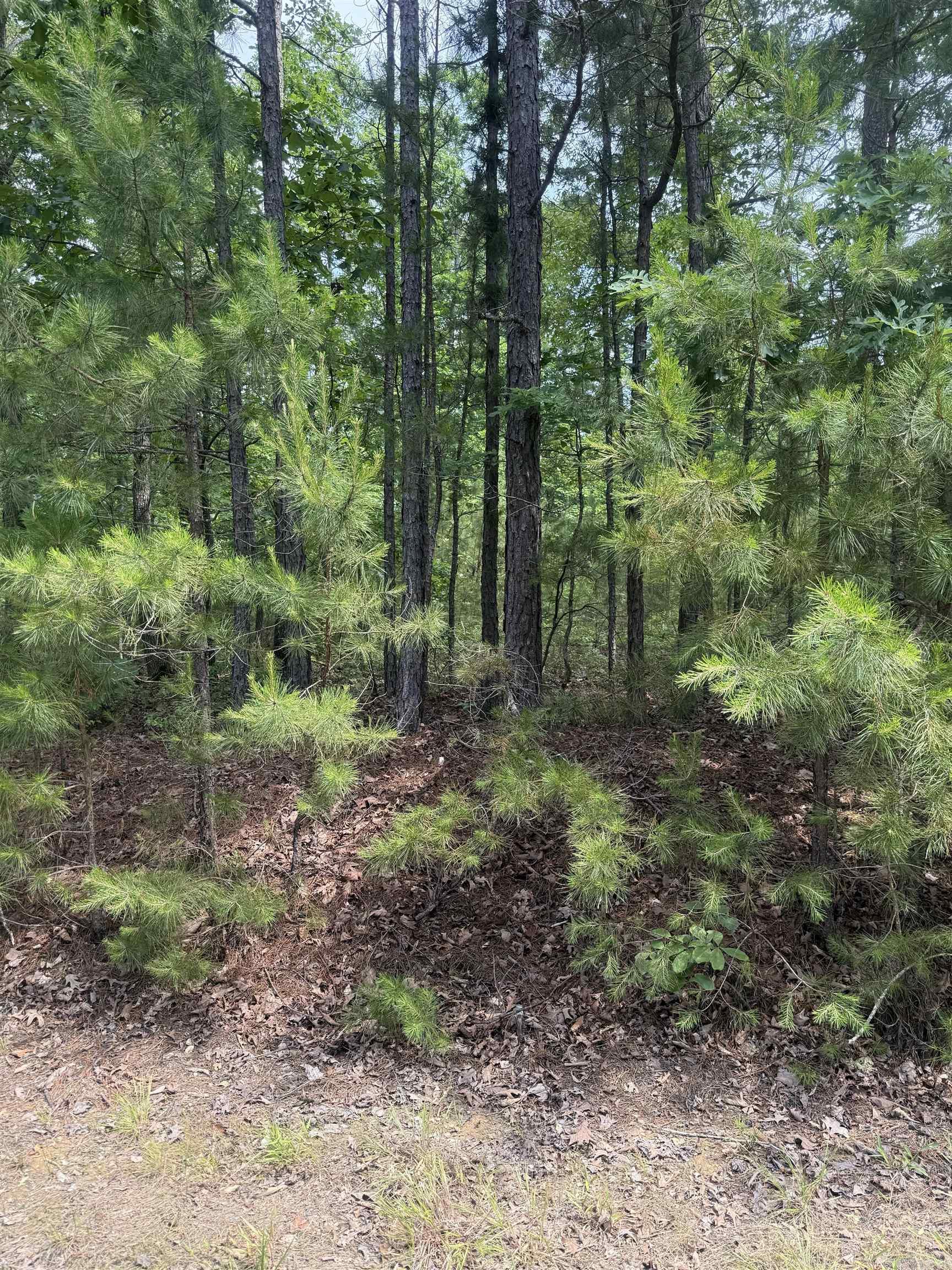 29 Ballobar  Hot Springs Village, AR