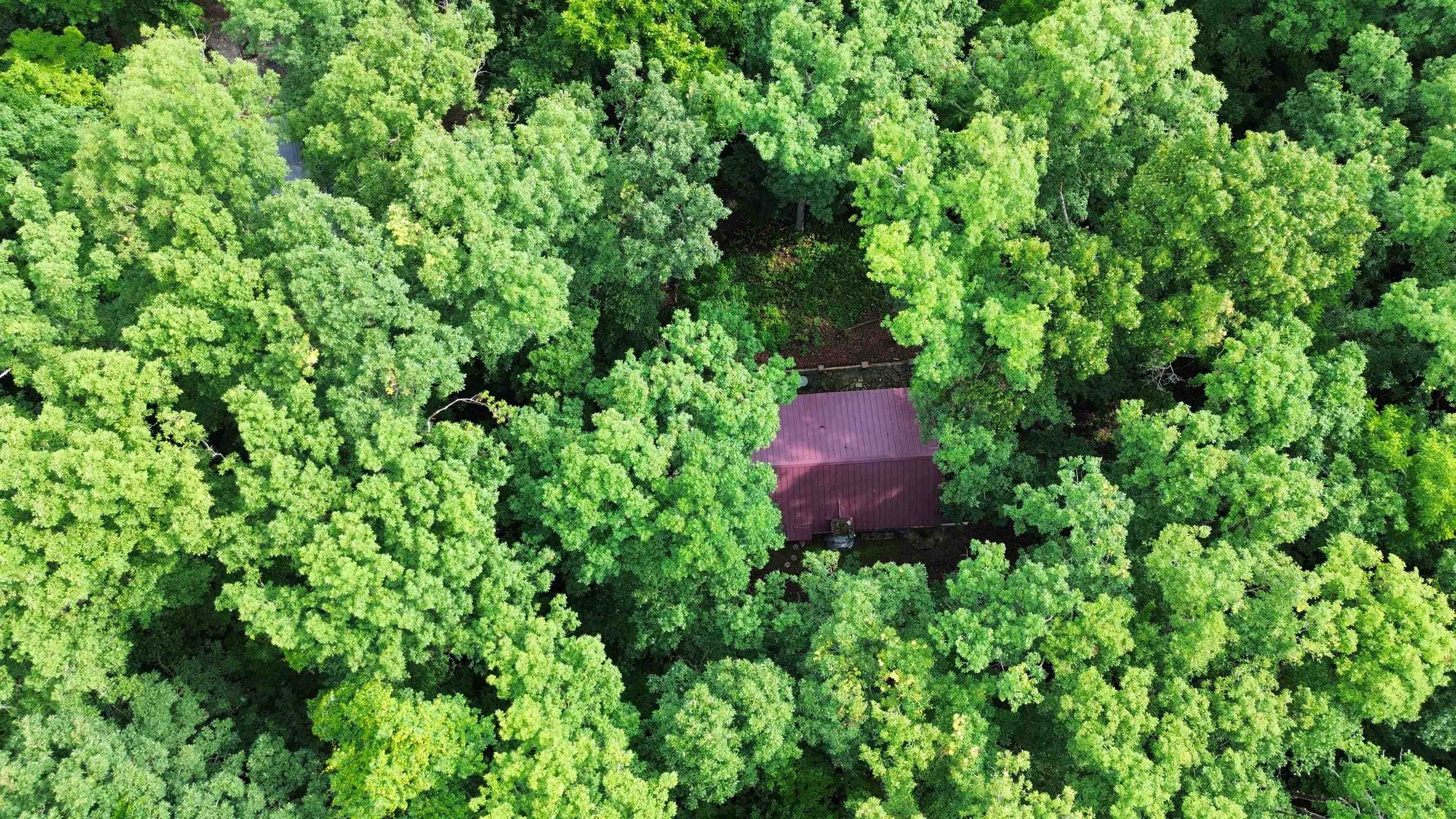 167 Wahpeton Hill  Hardy, AR