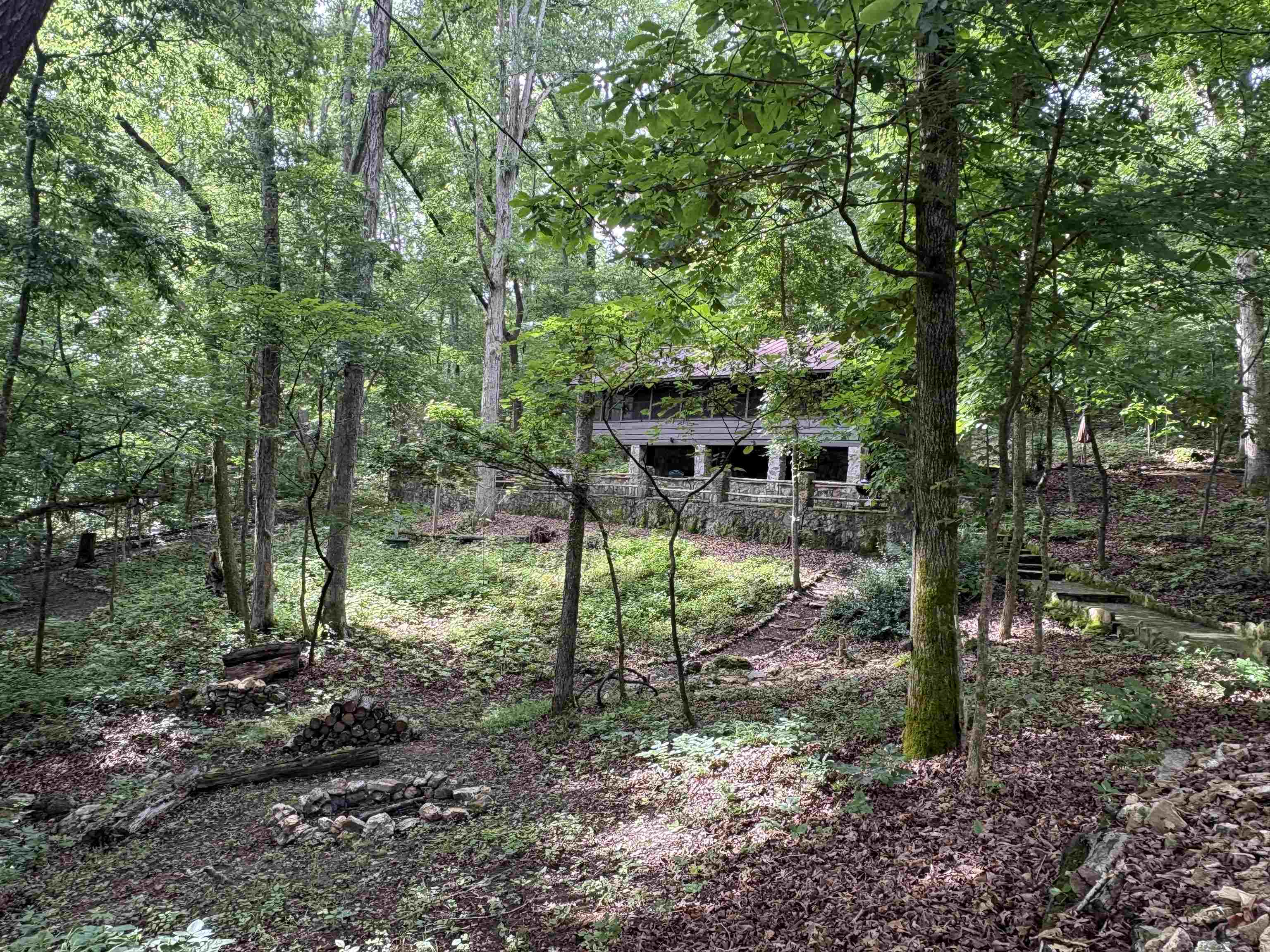 167 Wahpeton Hill  Hardy, AR