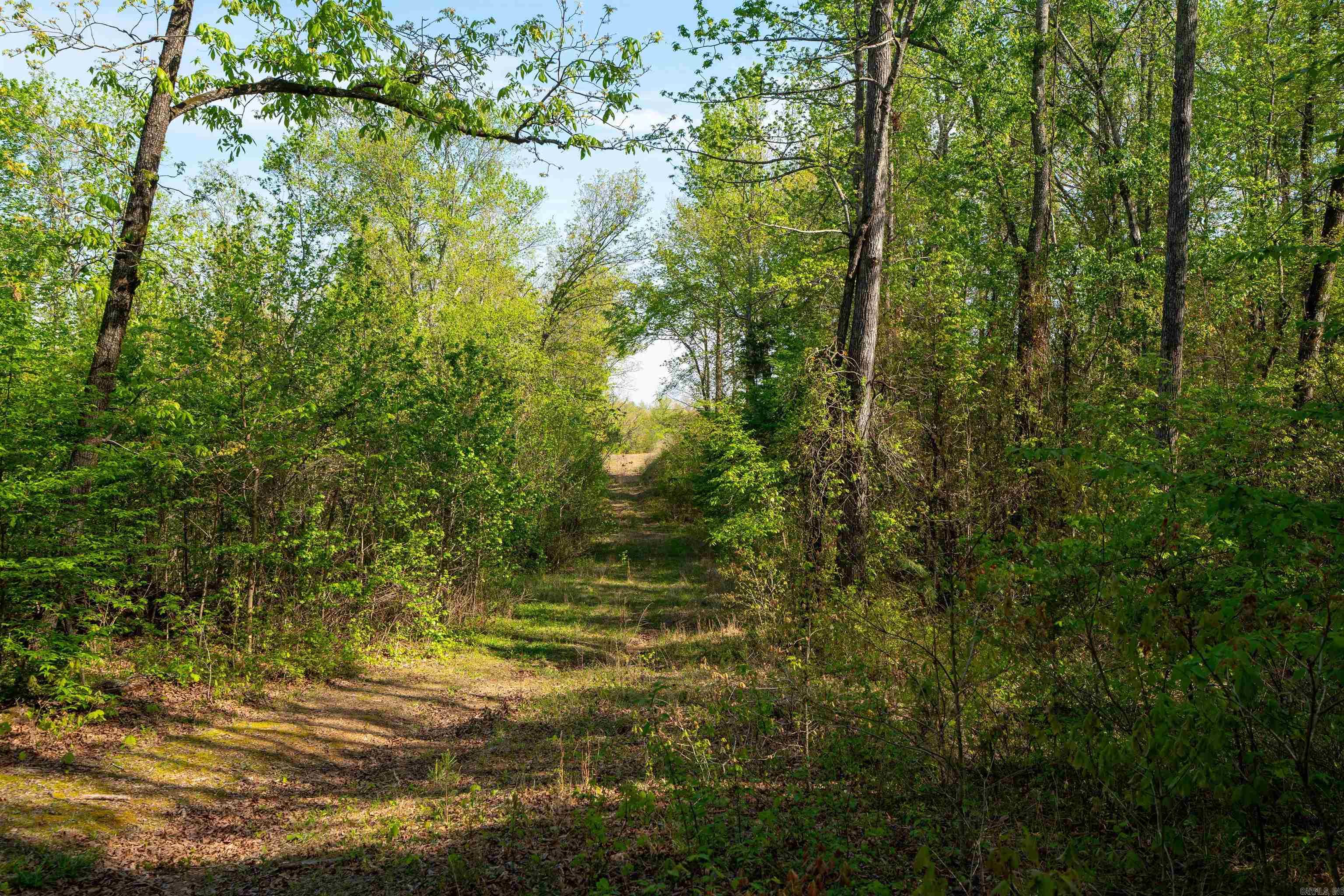119 GeMar  Pangburn, AR