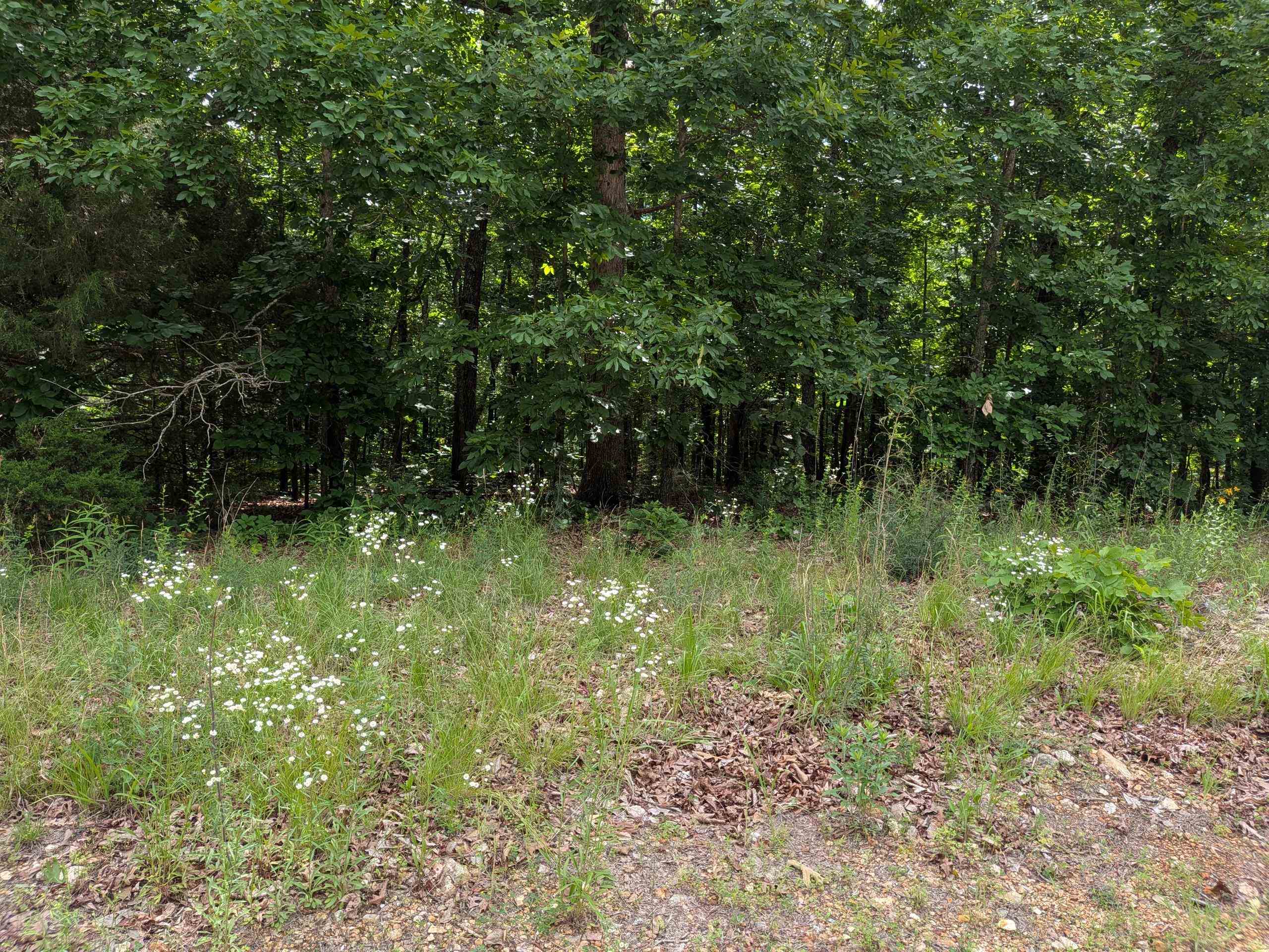  Summit Ridge  Ozark Acres, AR