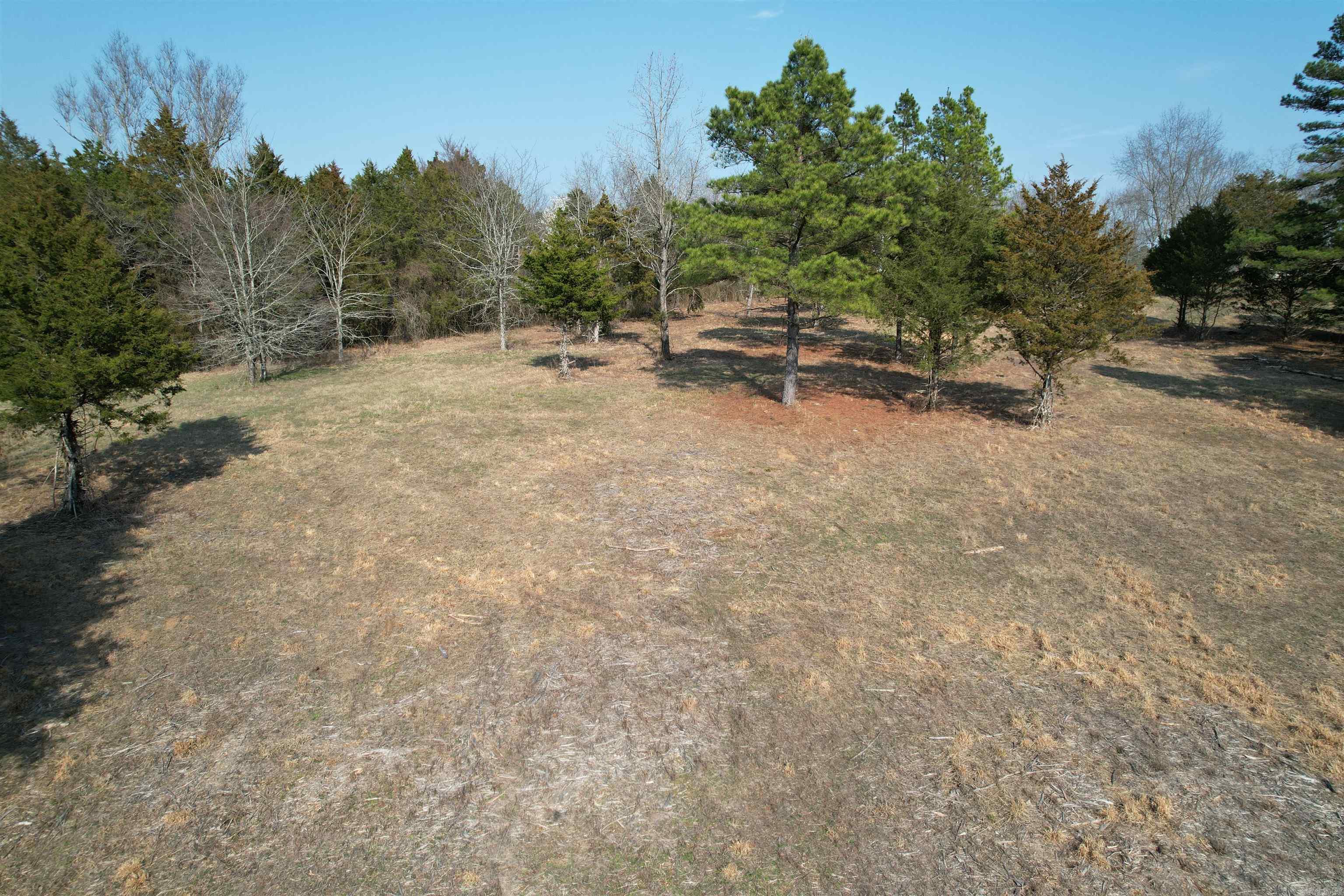 383 Bloodworth  Searcy, AR