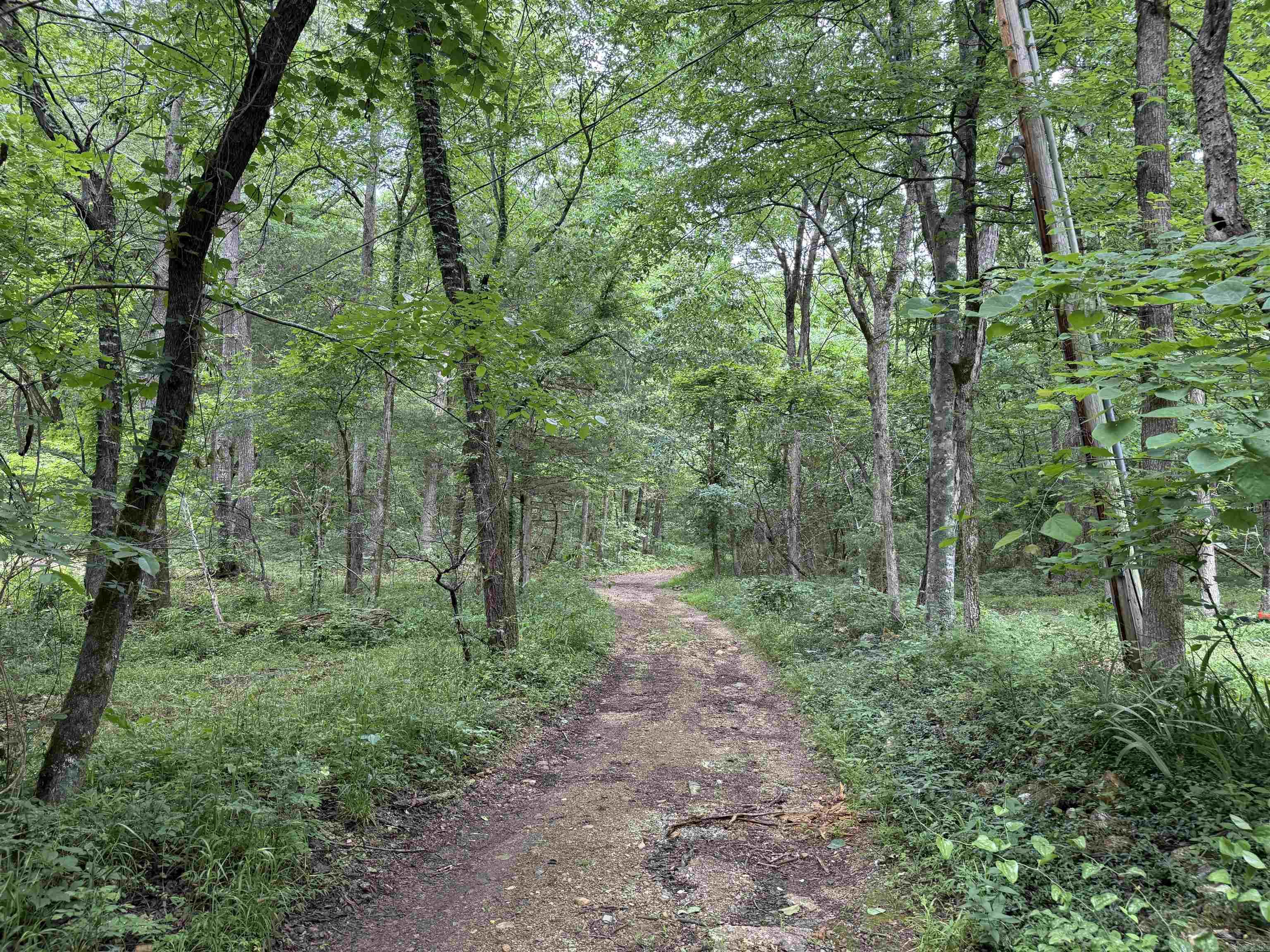 234 Lawrence 131  Black Rock, AR