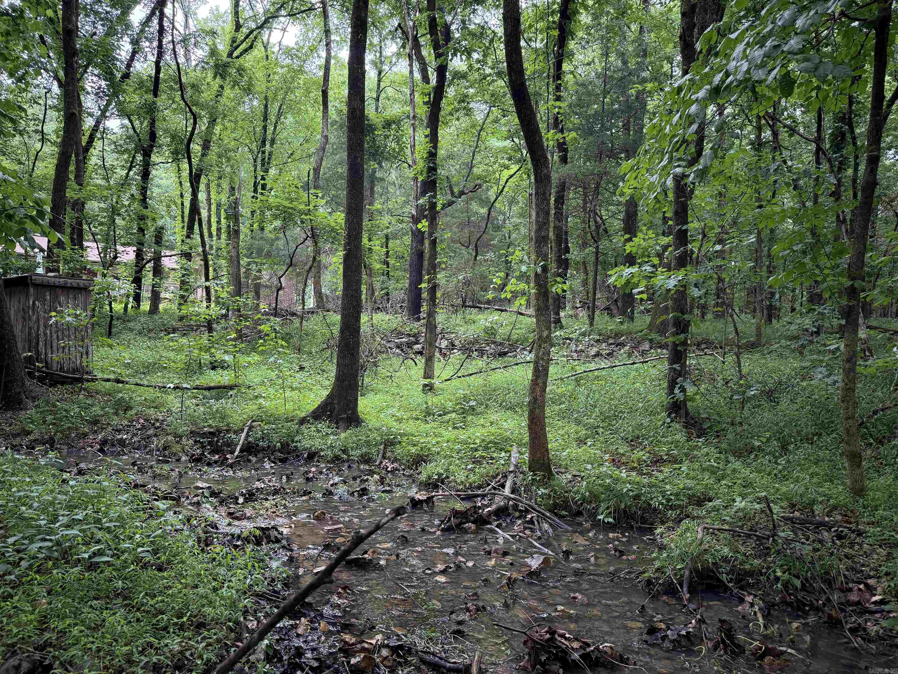 234 Lawrence 131  Black Rock, AR