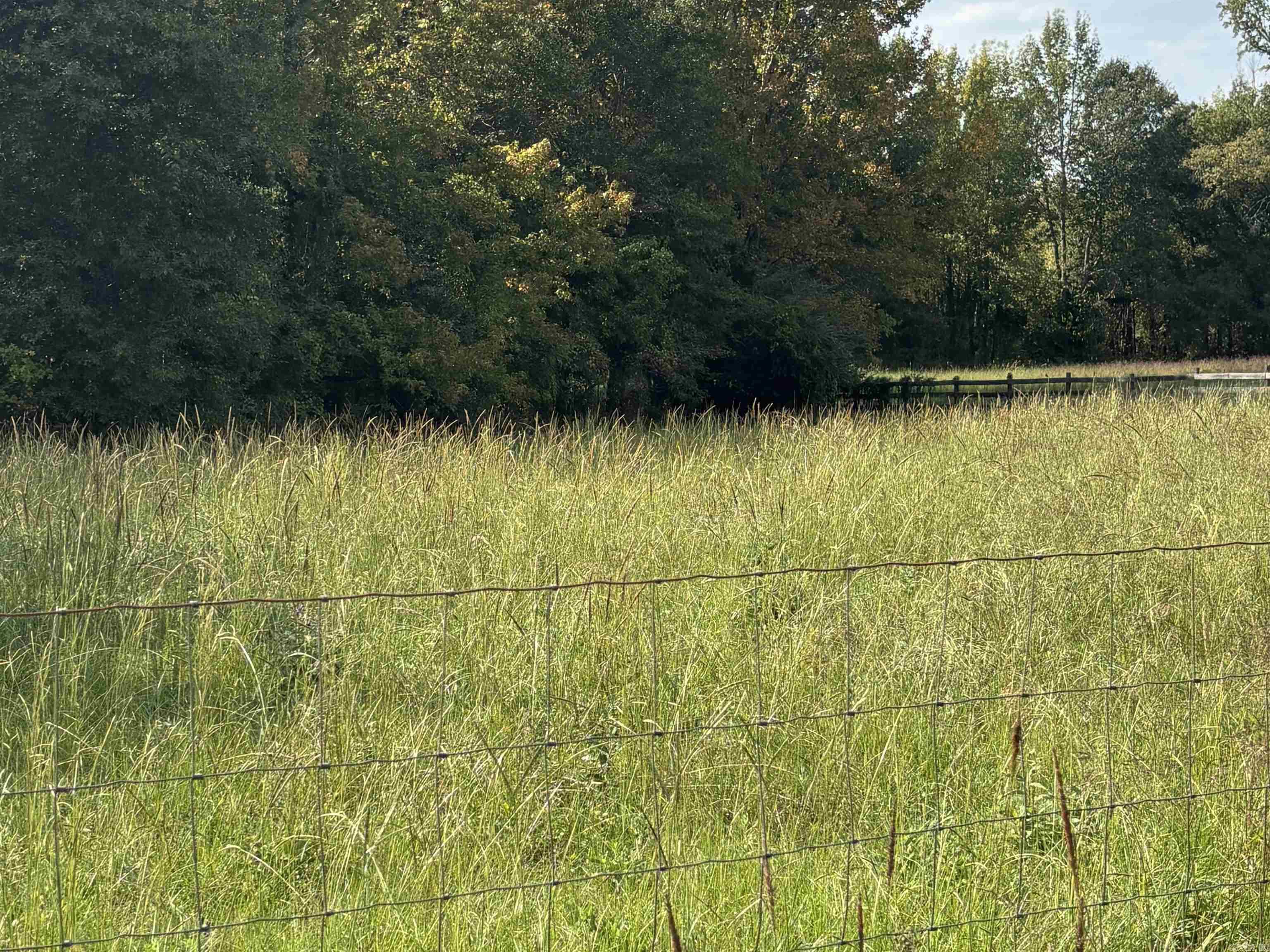 00 Bland Chapel  Ward, AR