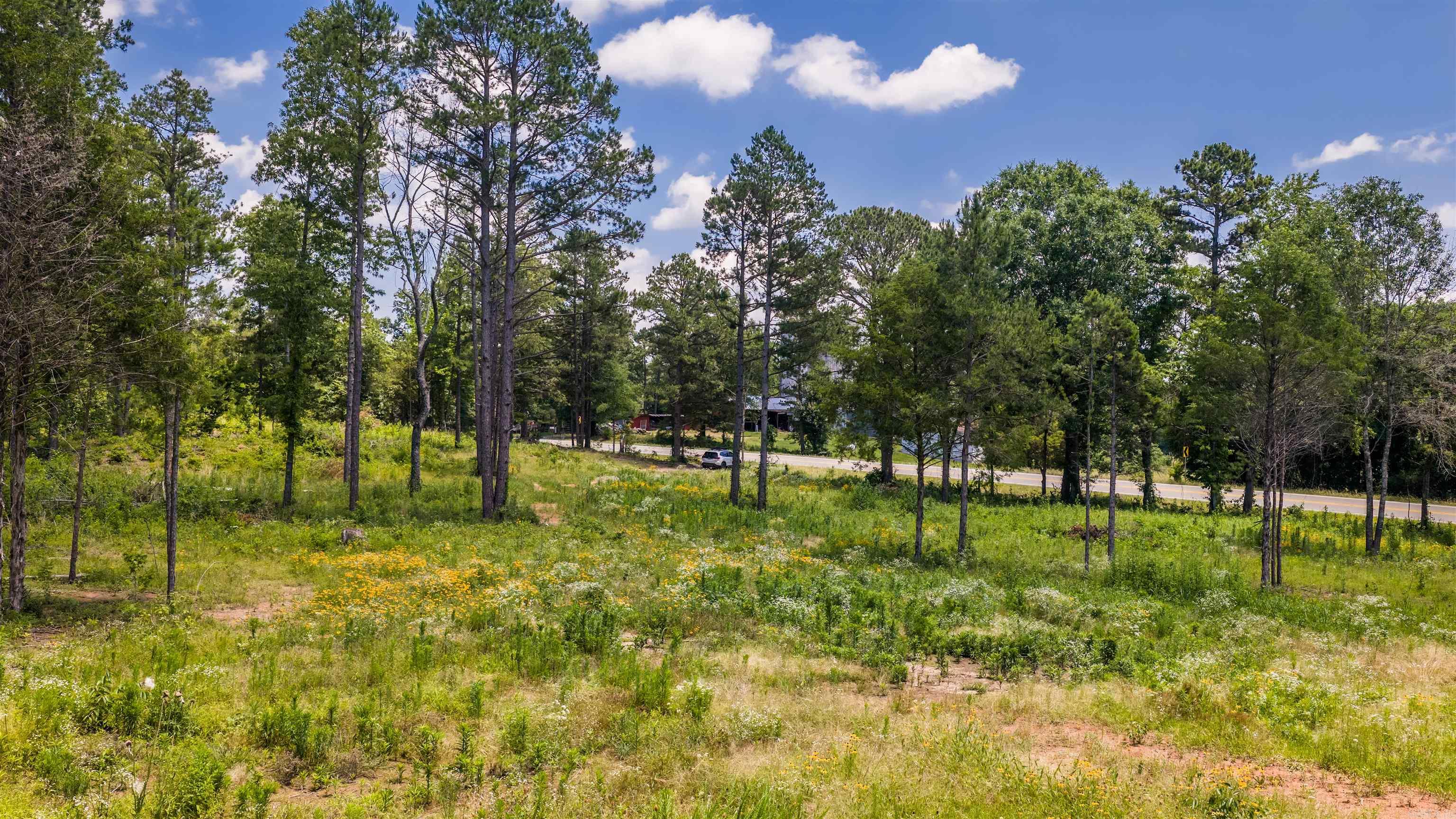 Tract 3 Hwy 124  Springfield, AR