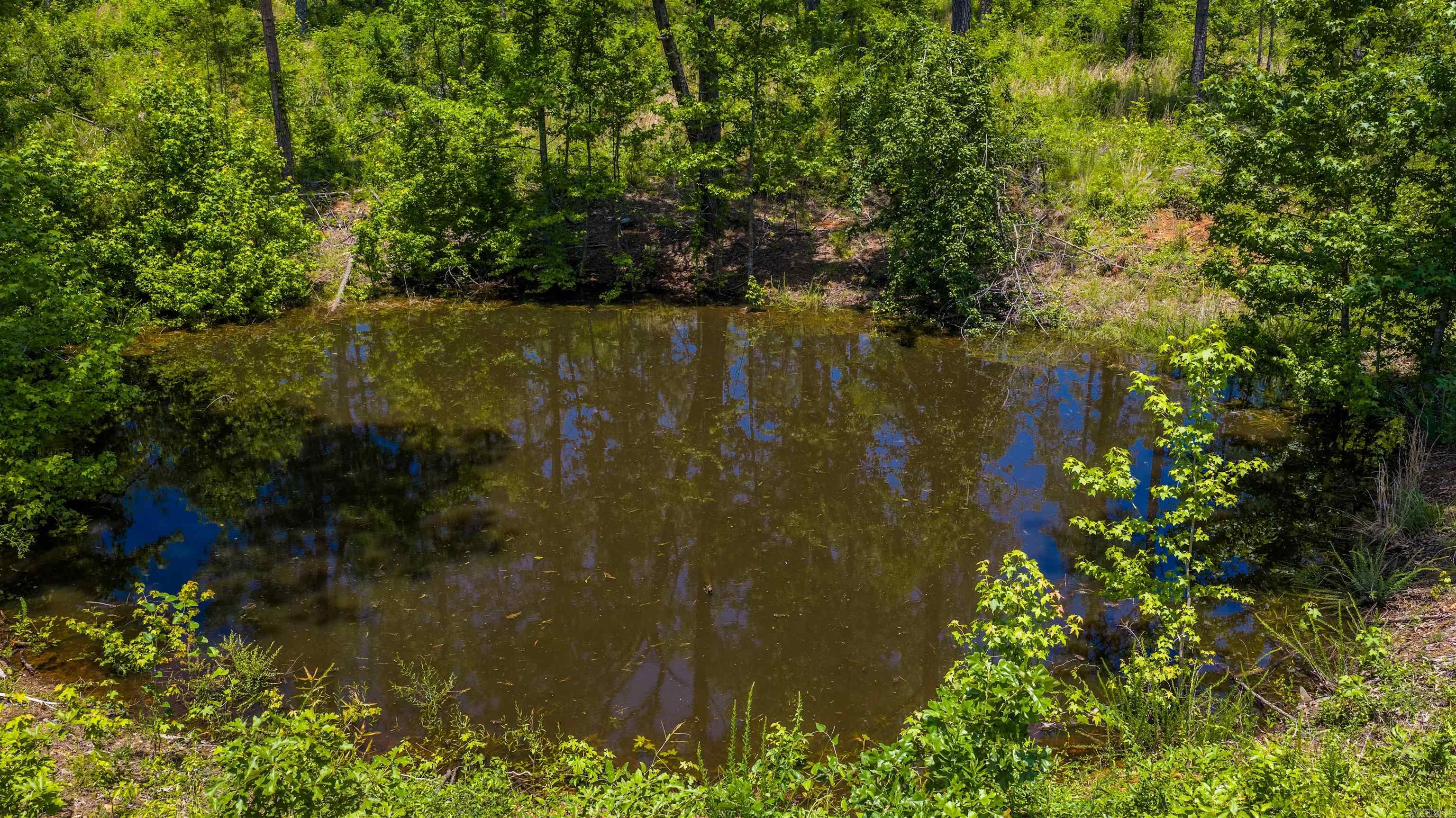 Tract 3 Hwy 124  Springfield, AR