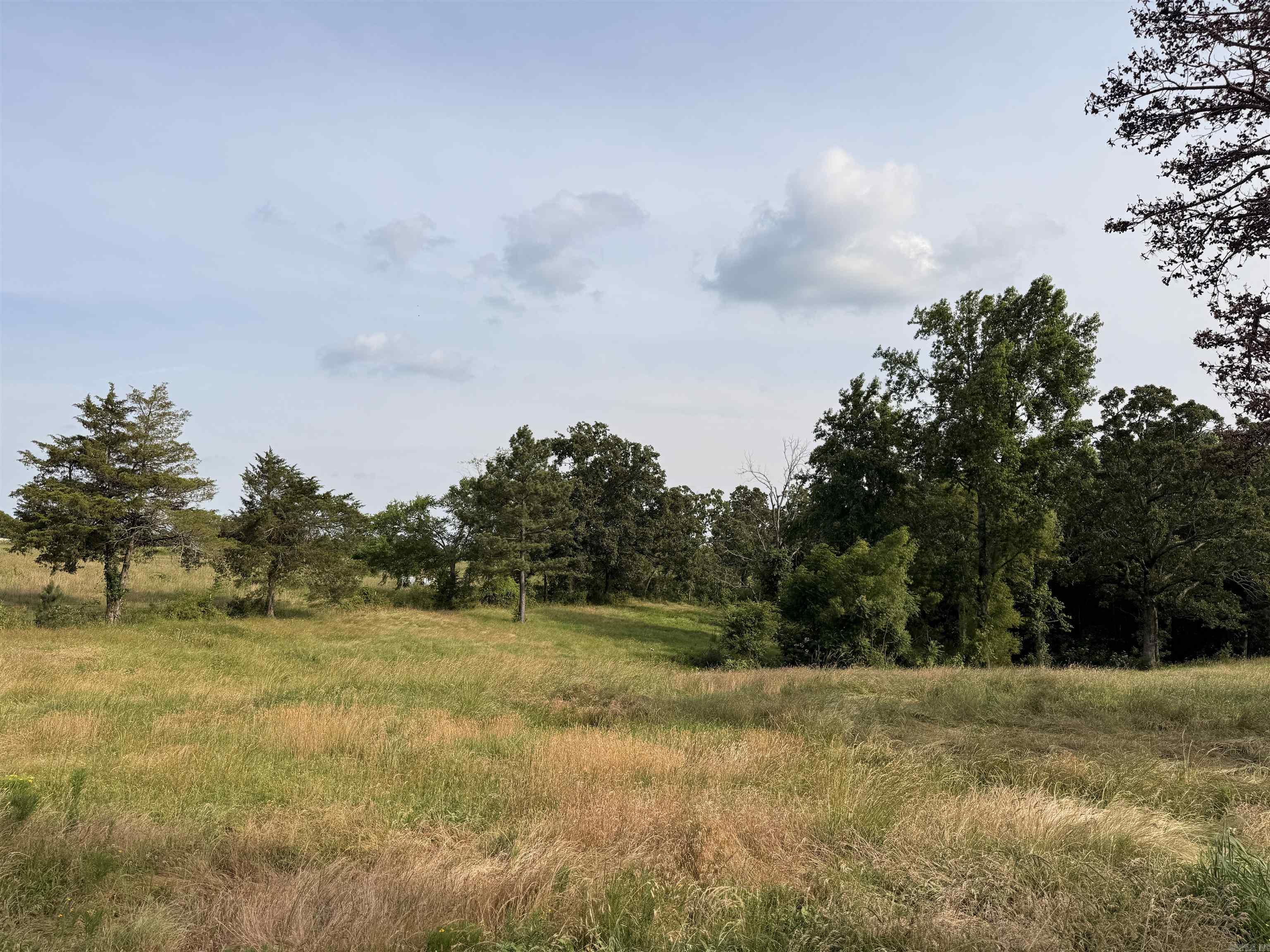 99 Candlestick Rd. W  Heber Springs, AR