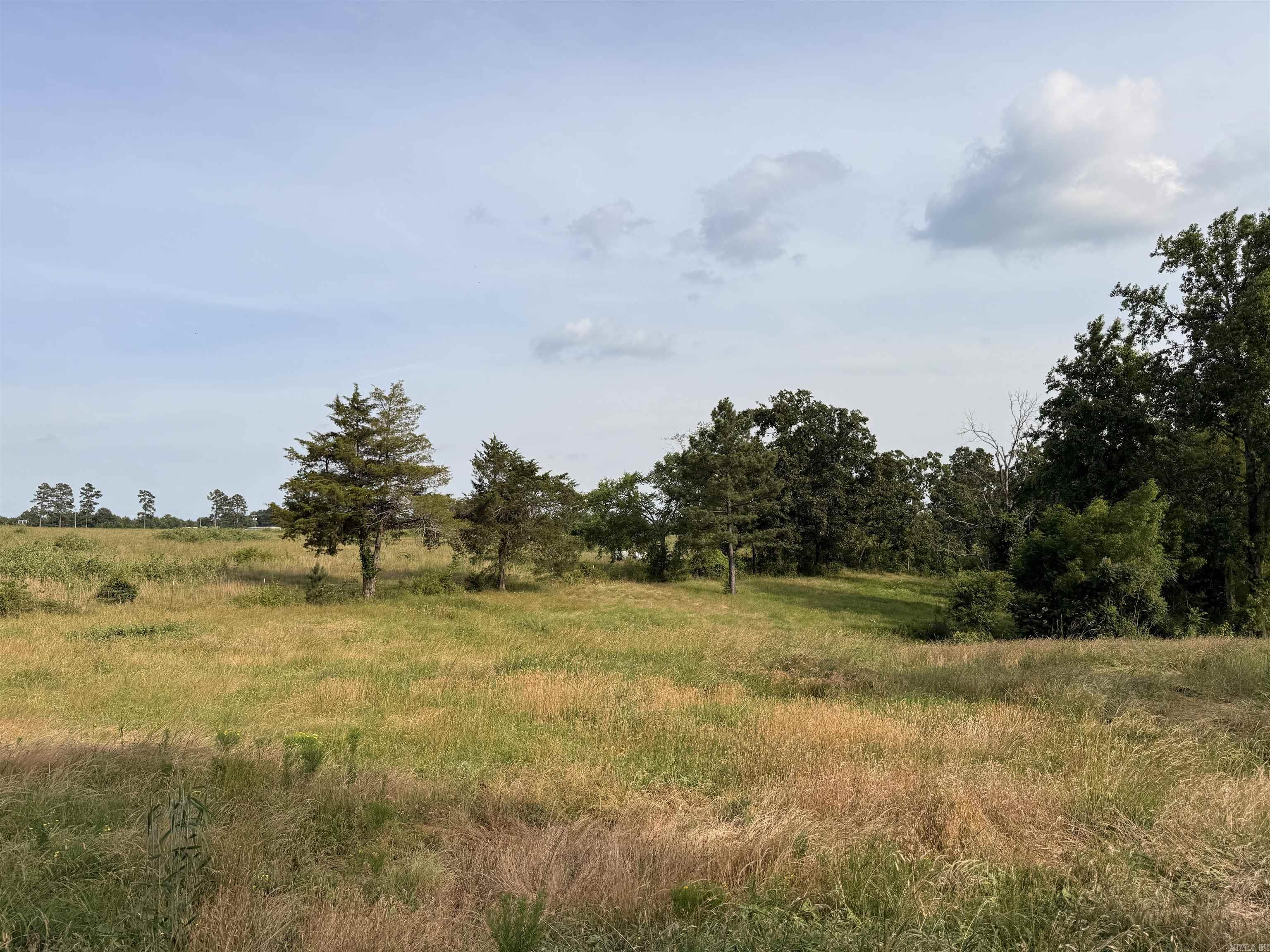 99 Candlestick Rd. W  Heber Springs, AR