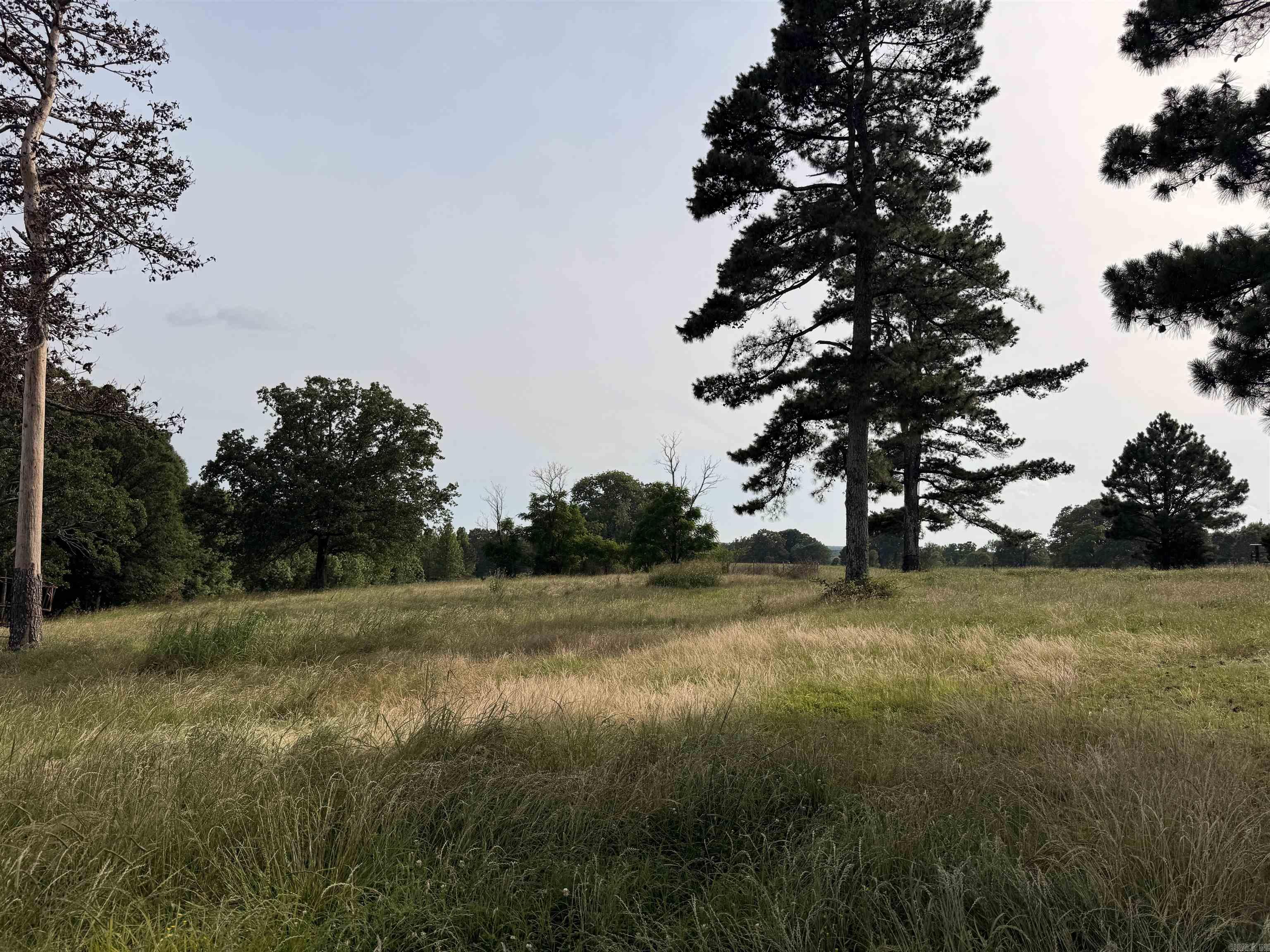 99 Candlestick Rd. W  Heber Springs, AR