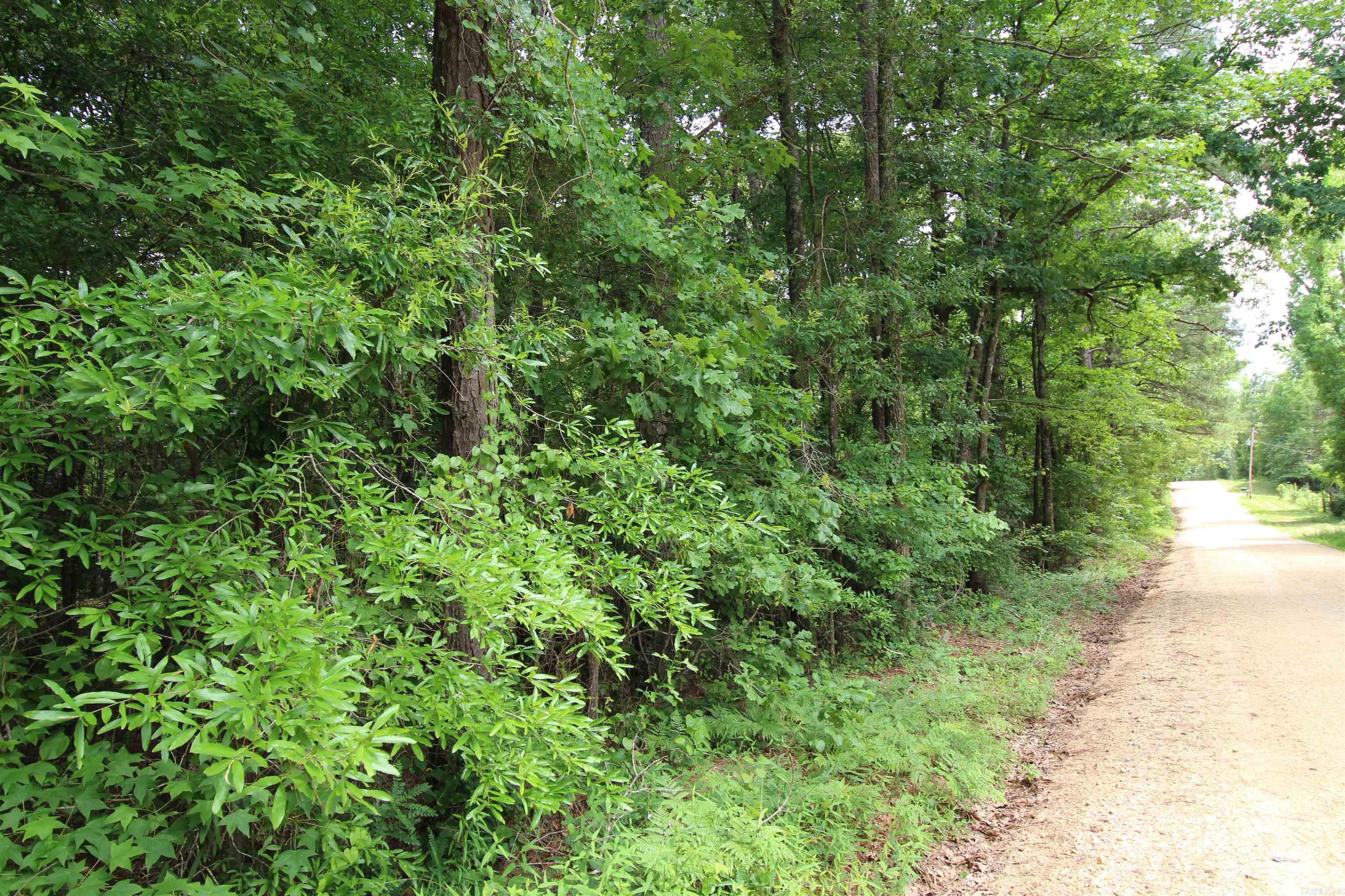 2230 Grant 29 Road Pine Bluff, AR 71603