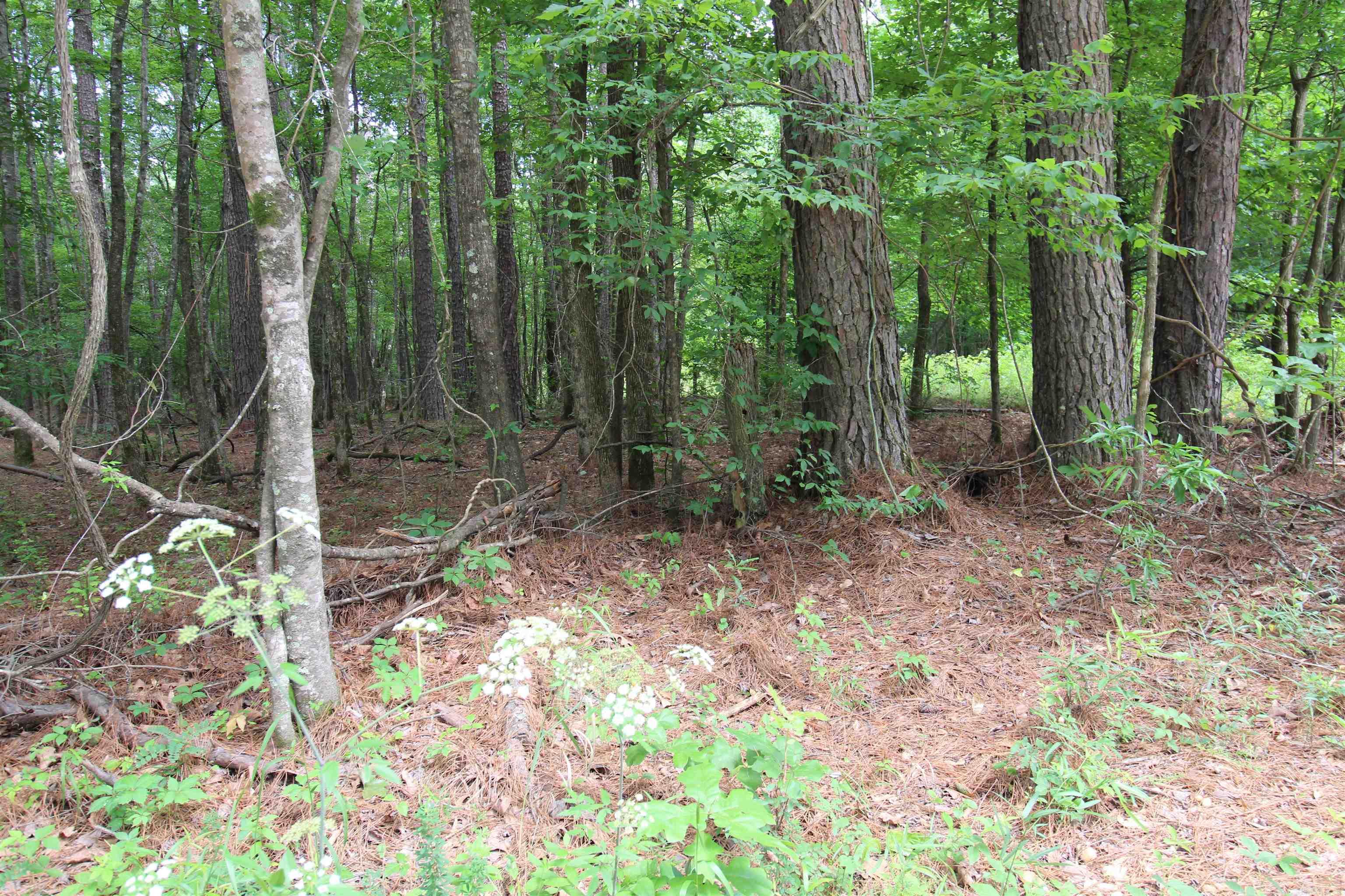 2230 Grant County Road 29  Pine Bluff, AR