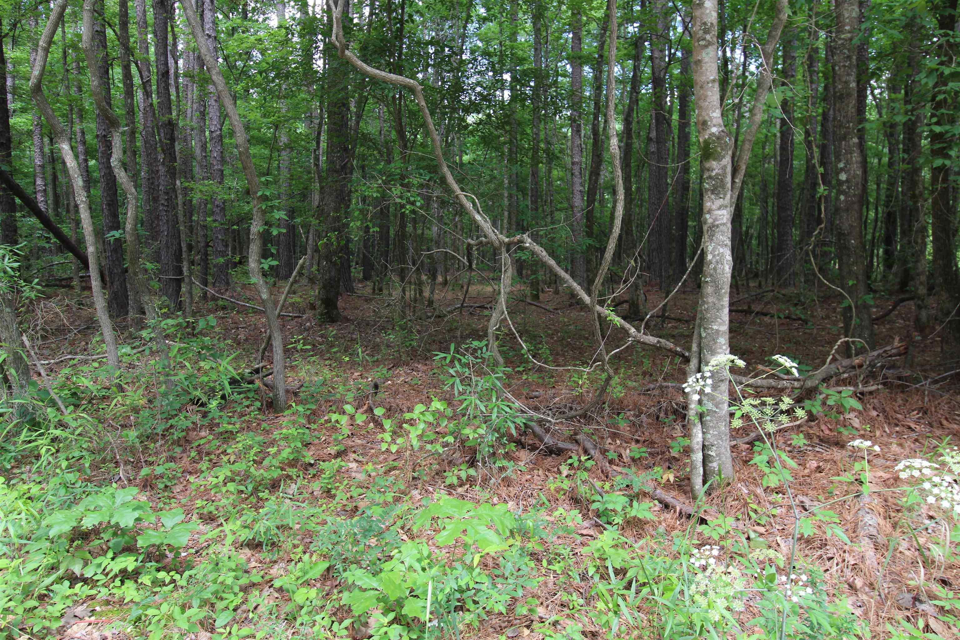 2230 Grant County Road 29  Pine Bluff, AR