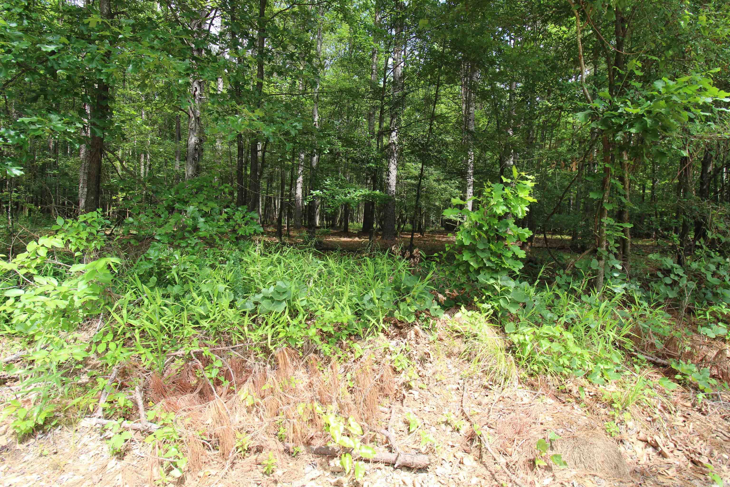 2230 Grant 29 Road Pine Bluff, AR 71603