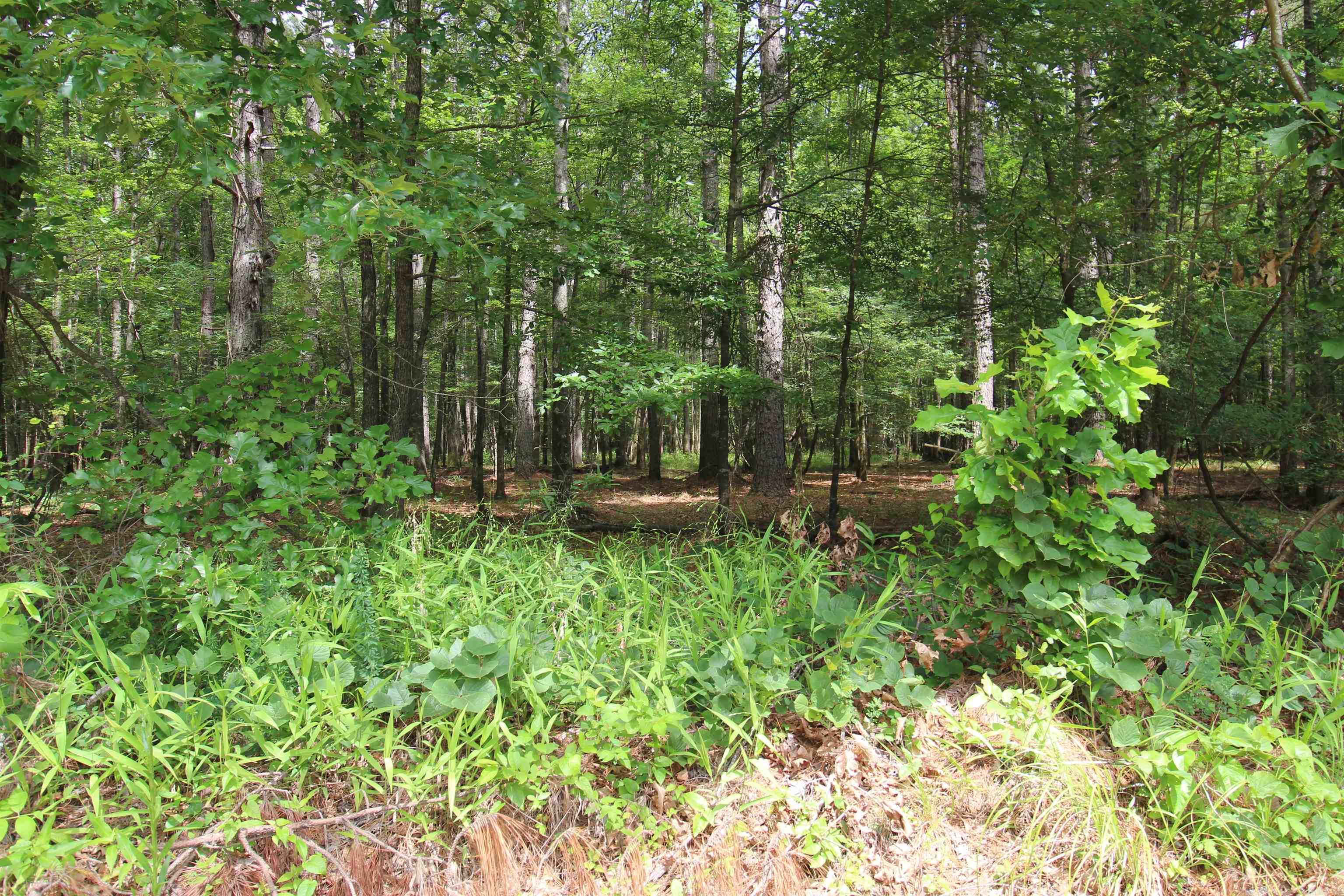 2230 Grant 29 Road Pine Bluff, AR 71603