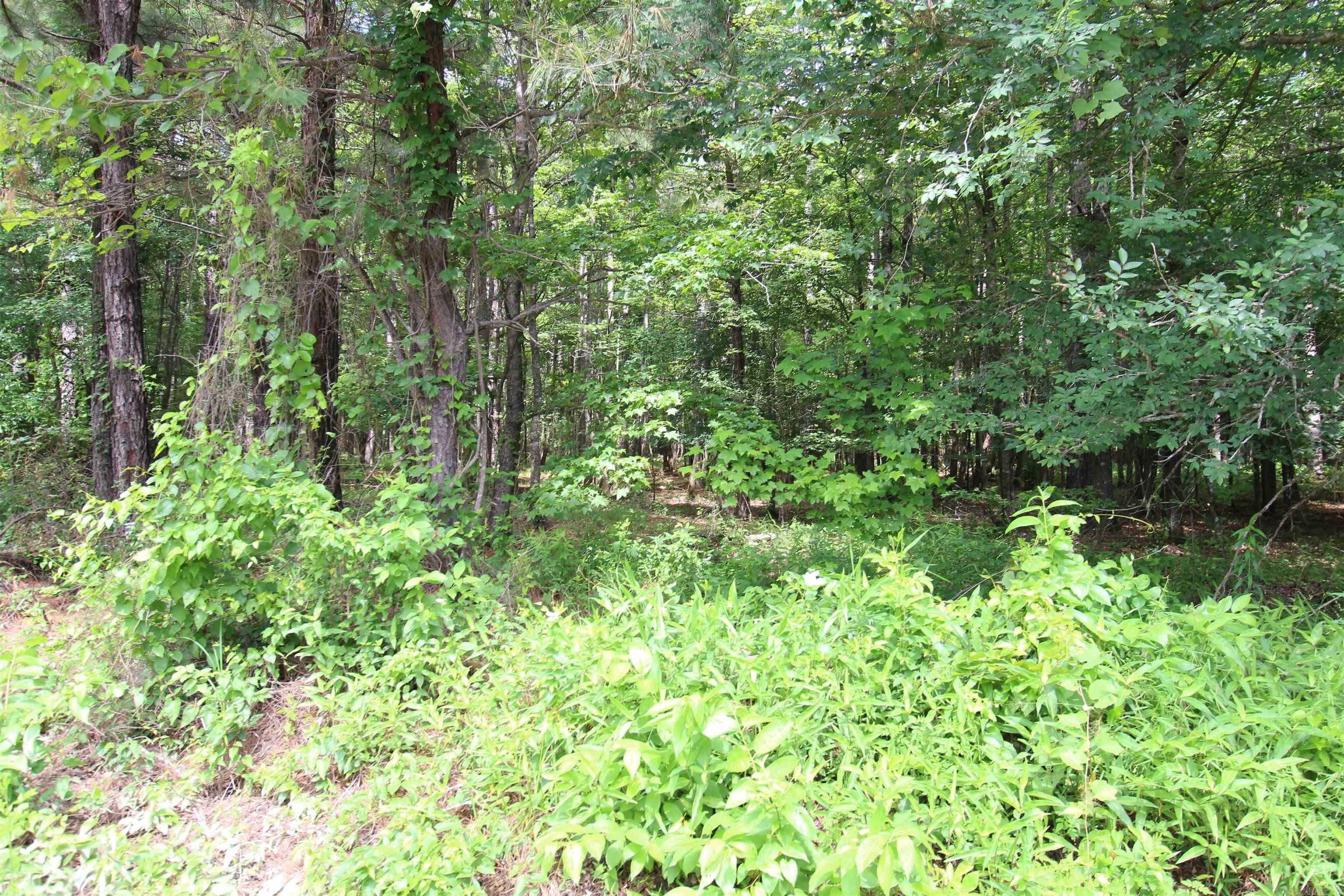 2230 Grant 29 Road Pine Bluff, AR 71603