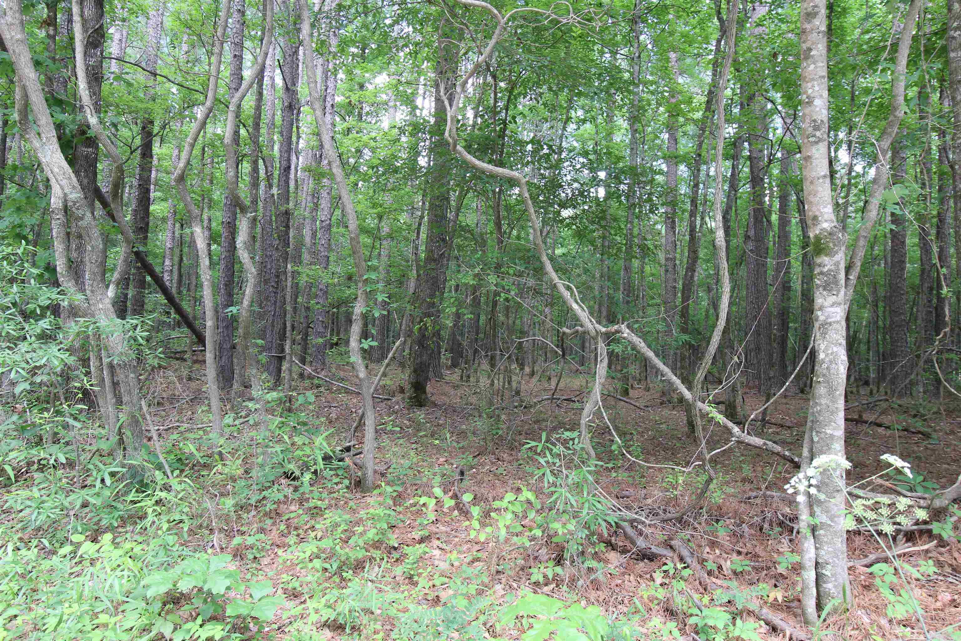 2230 Grant 29 Road Pine Bluff, AR 71603