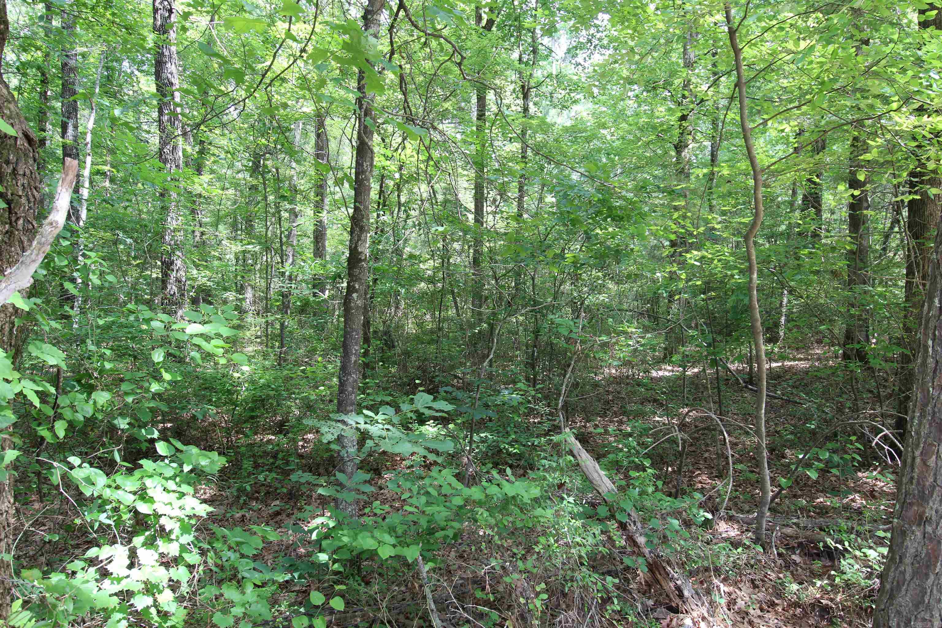 2230 Grant 29 Road Pine Bluff, AR 71603