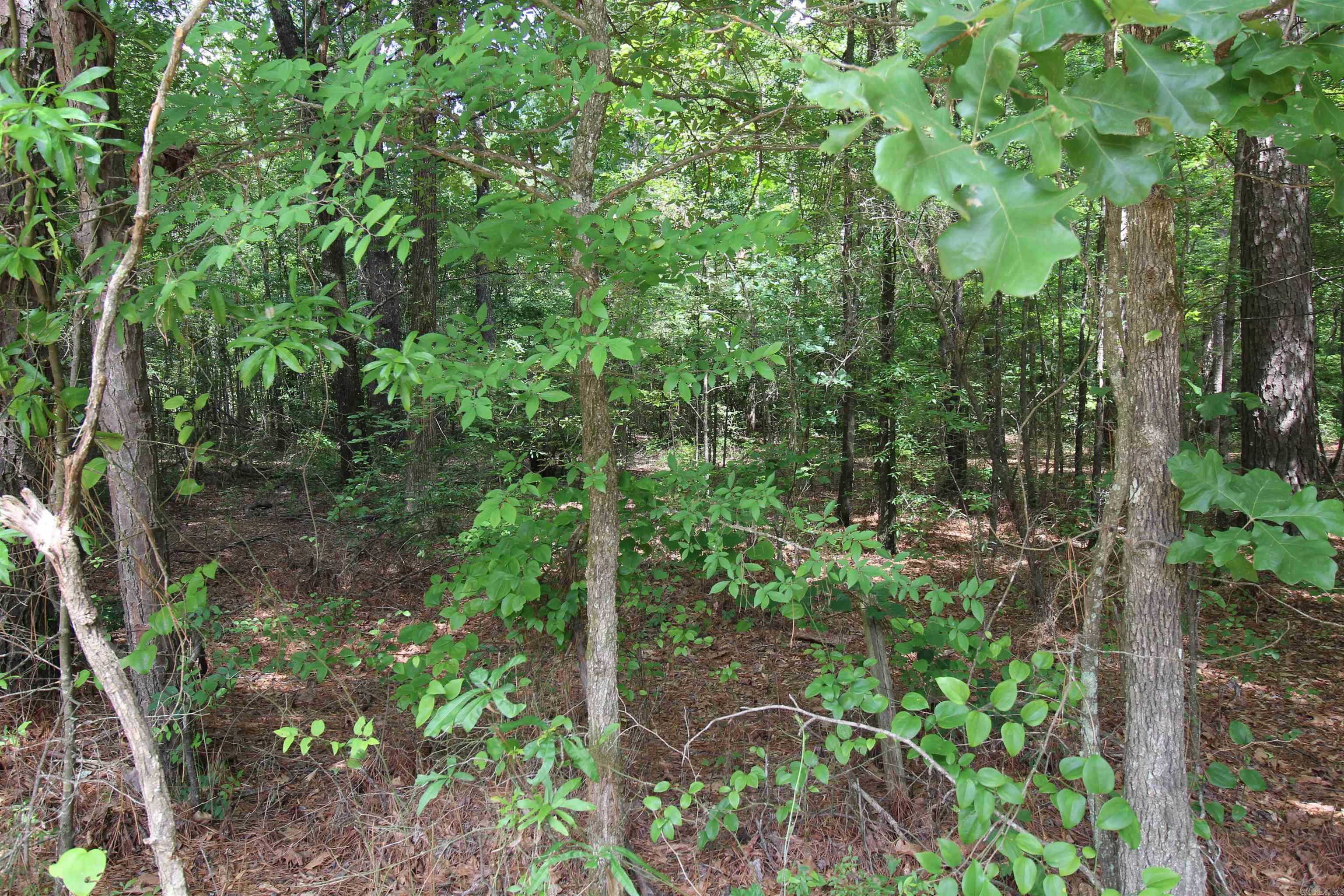 2230 Grant 29 Road Pine Bluff, AR 71603