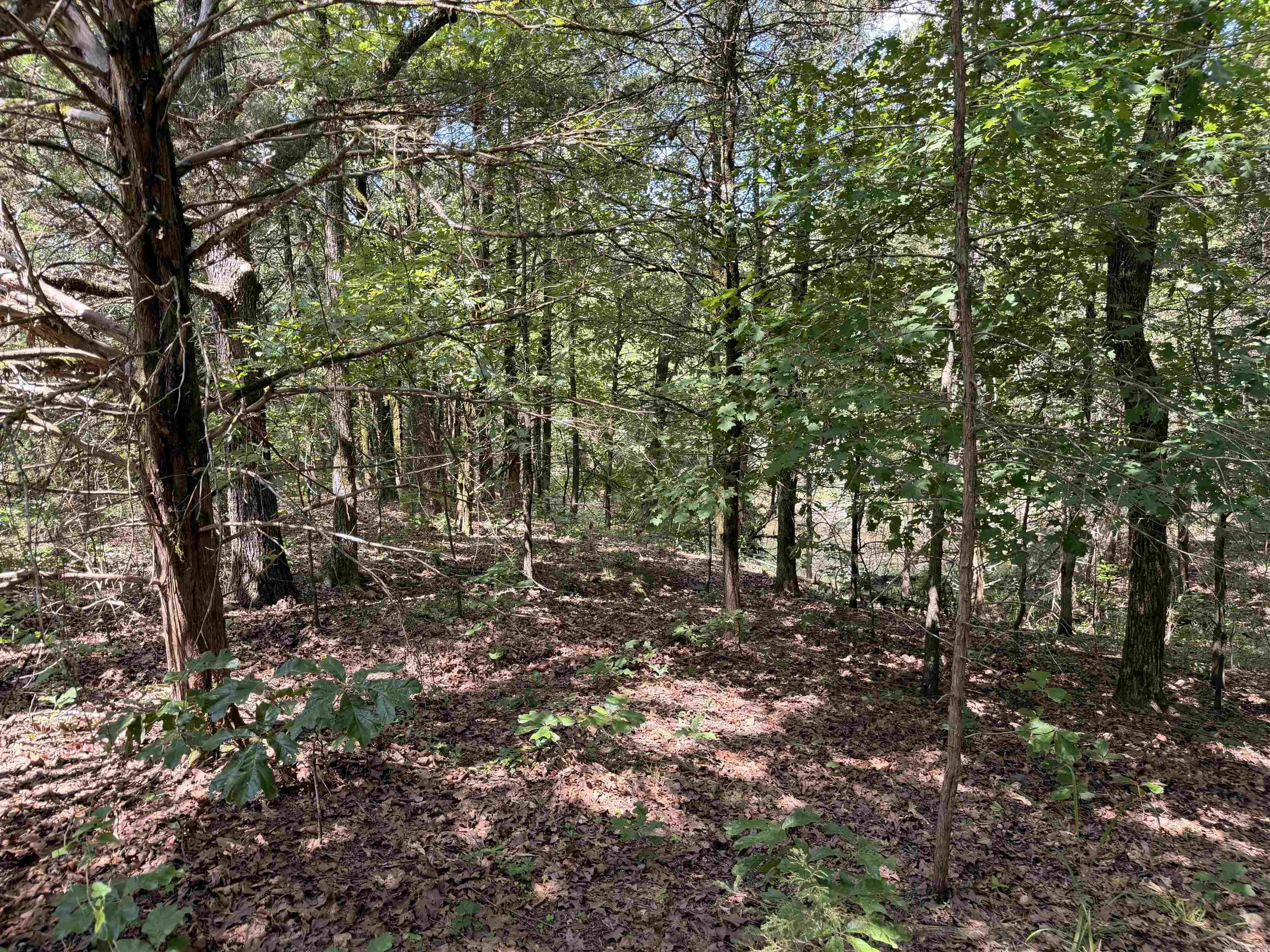 00 Easement  Booneville, AR