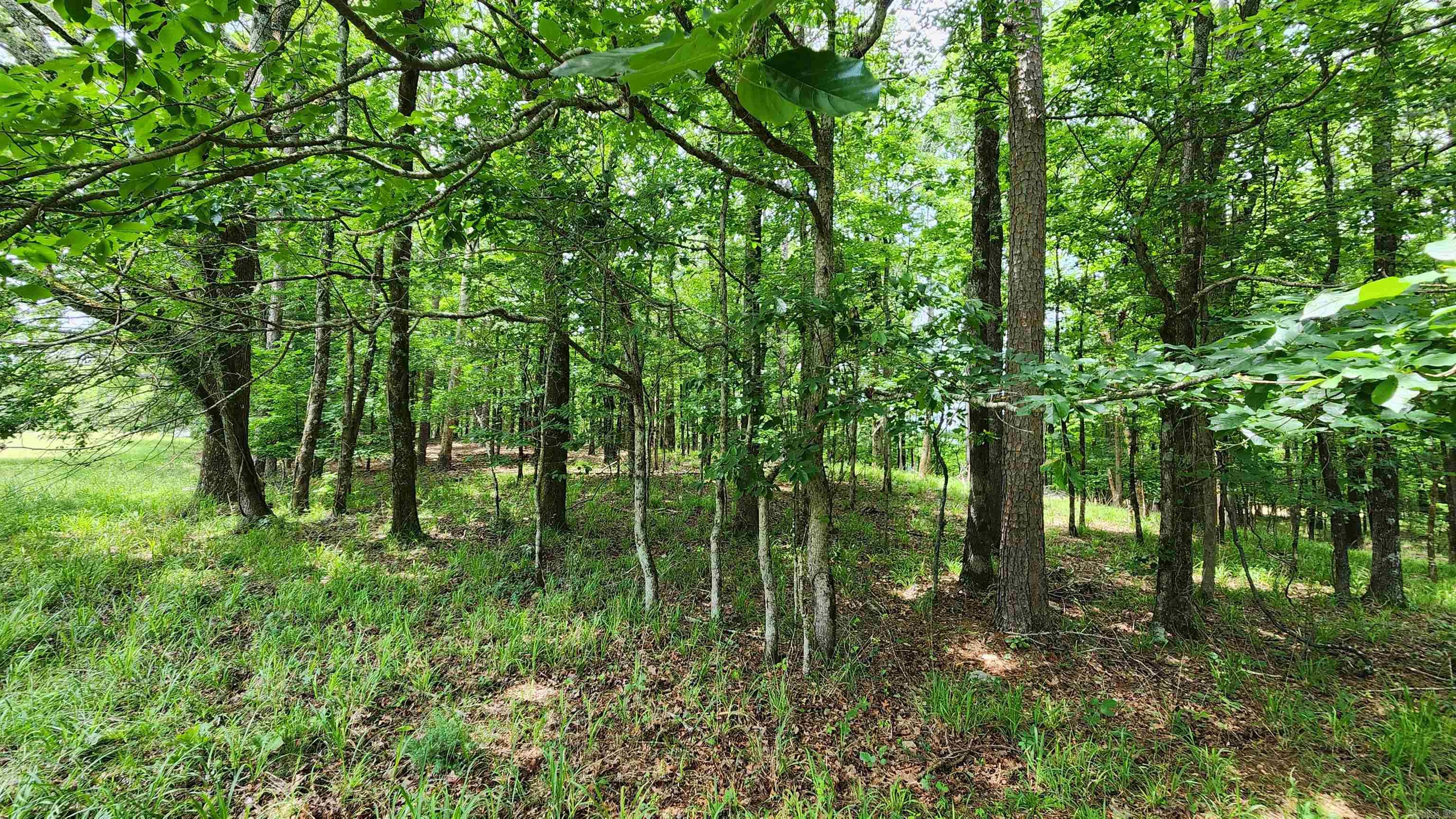 1180 Owley Road  Mount Ida, AR