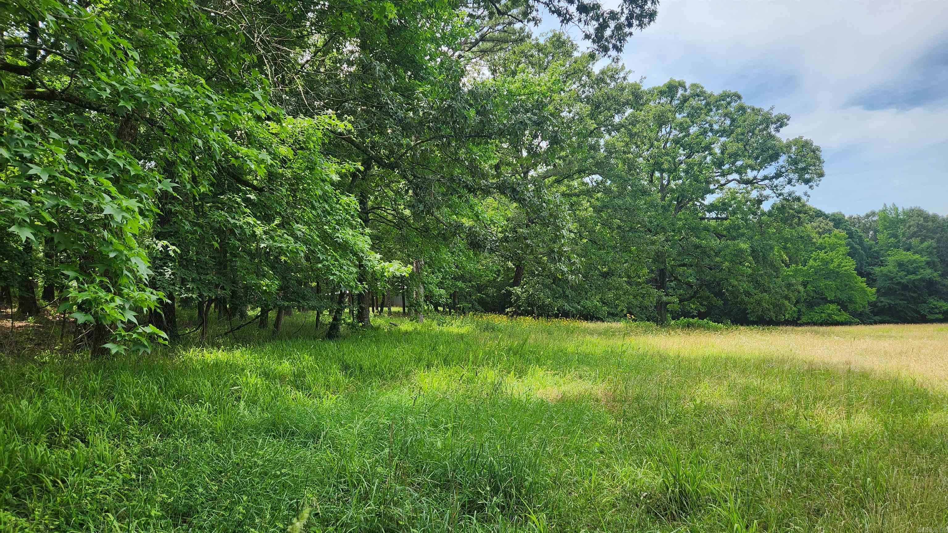 1180 Owley Road  Mount Ida, AR