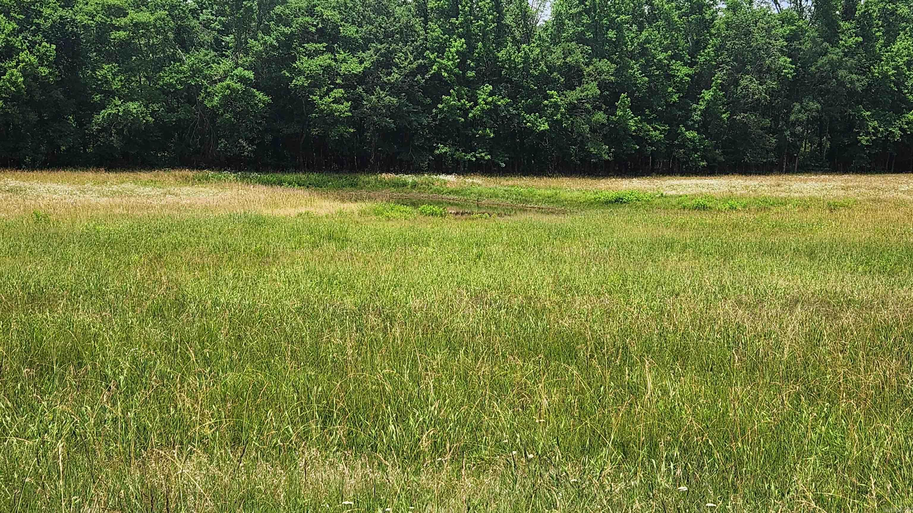 1180 Owley Road  Mount Ida, AR