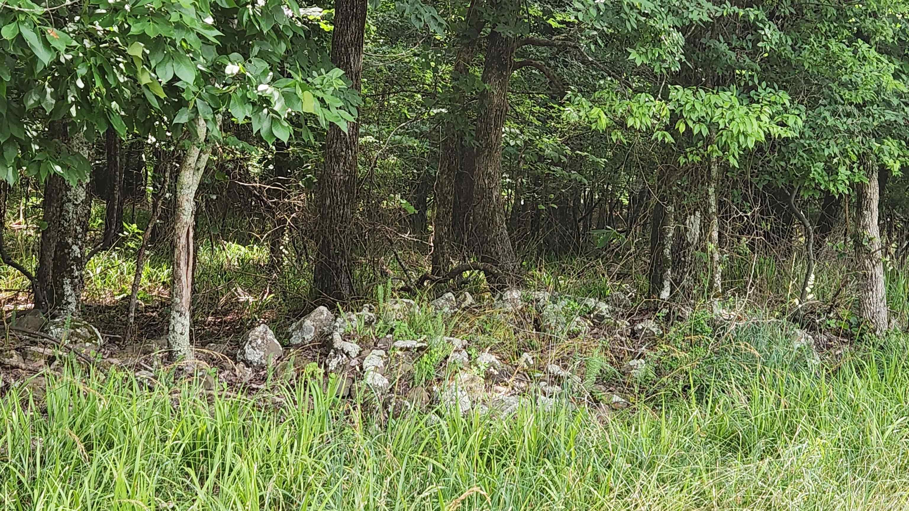 1180 Owley Road  Mount Ida, AR
