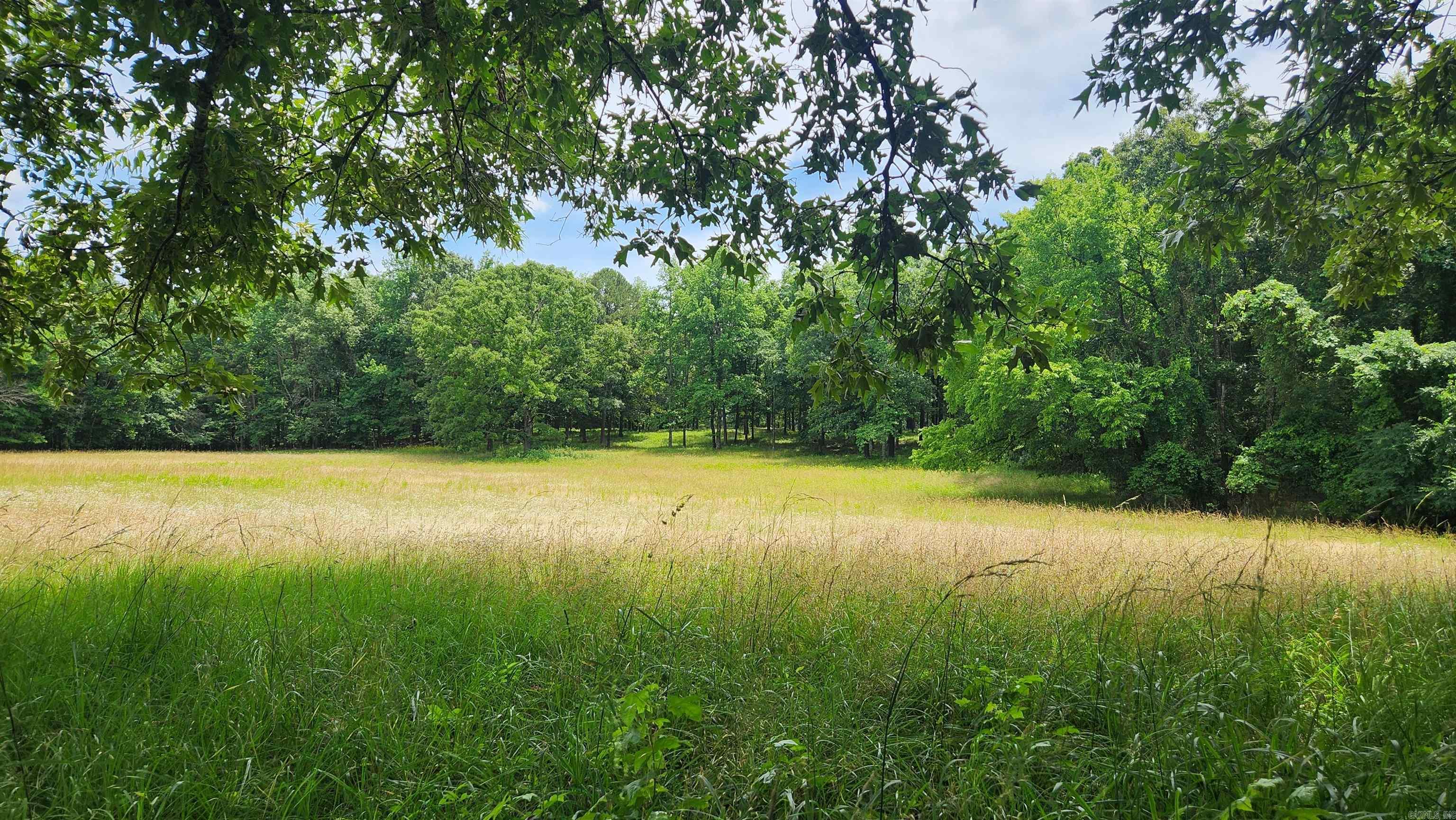 1180 Owley Road  Mount Ida, AR