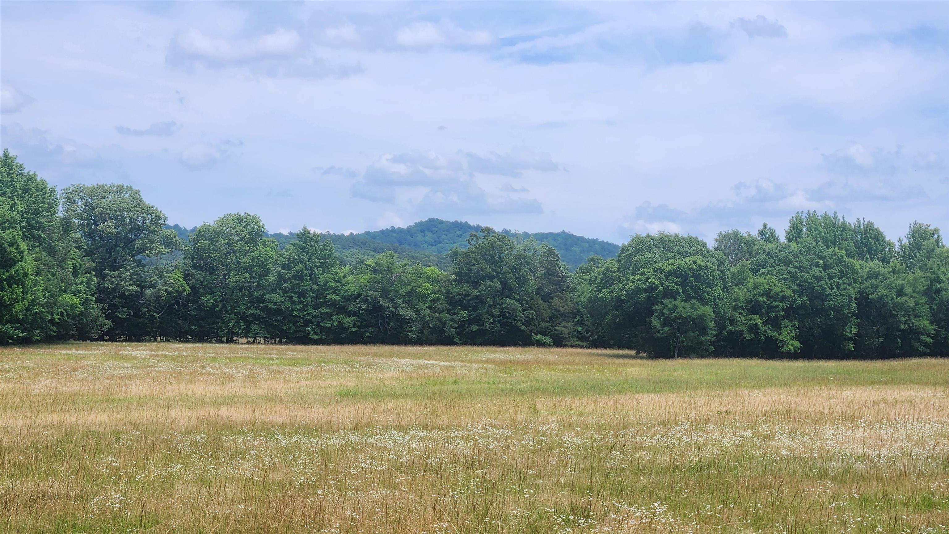 1180 Owley Road  Mount Ida, AR