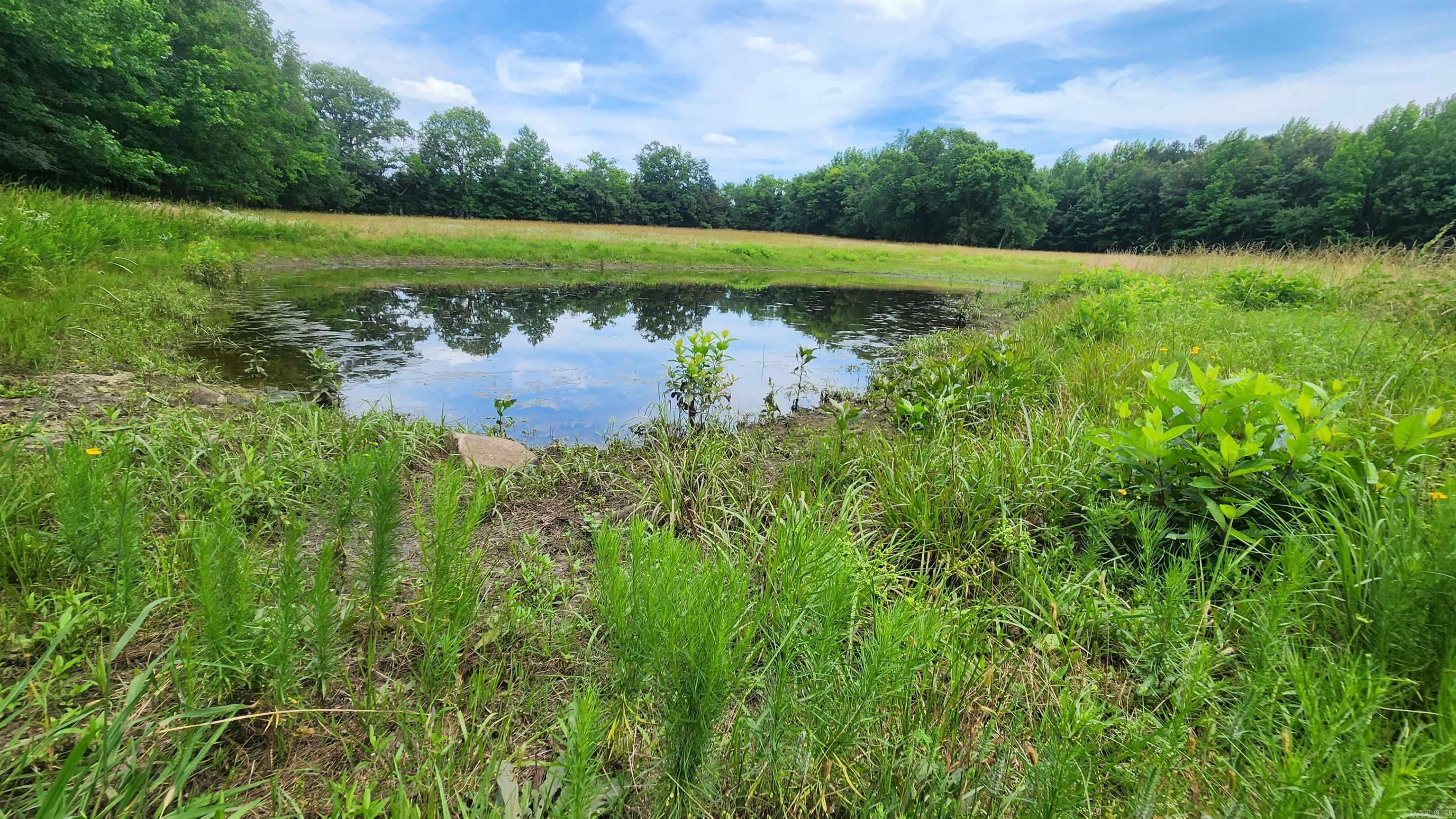 1180 Owley Road  Mount Ida, AR