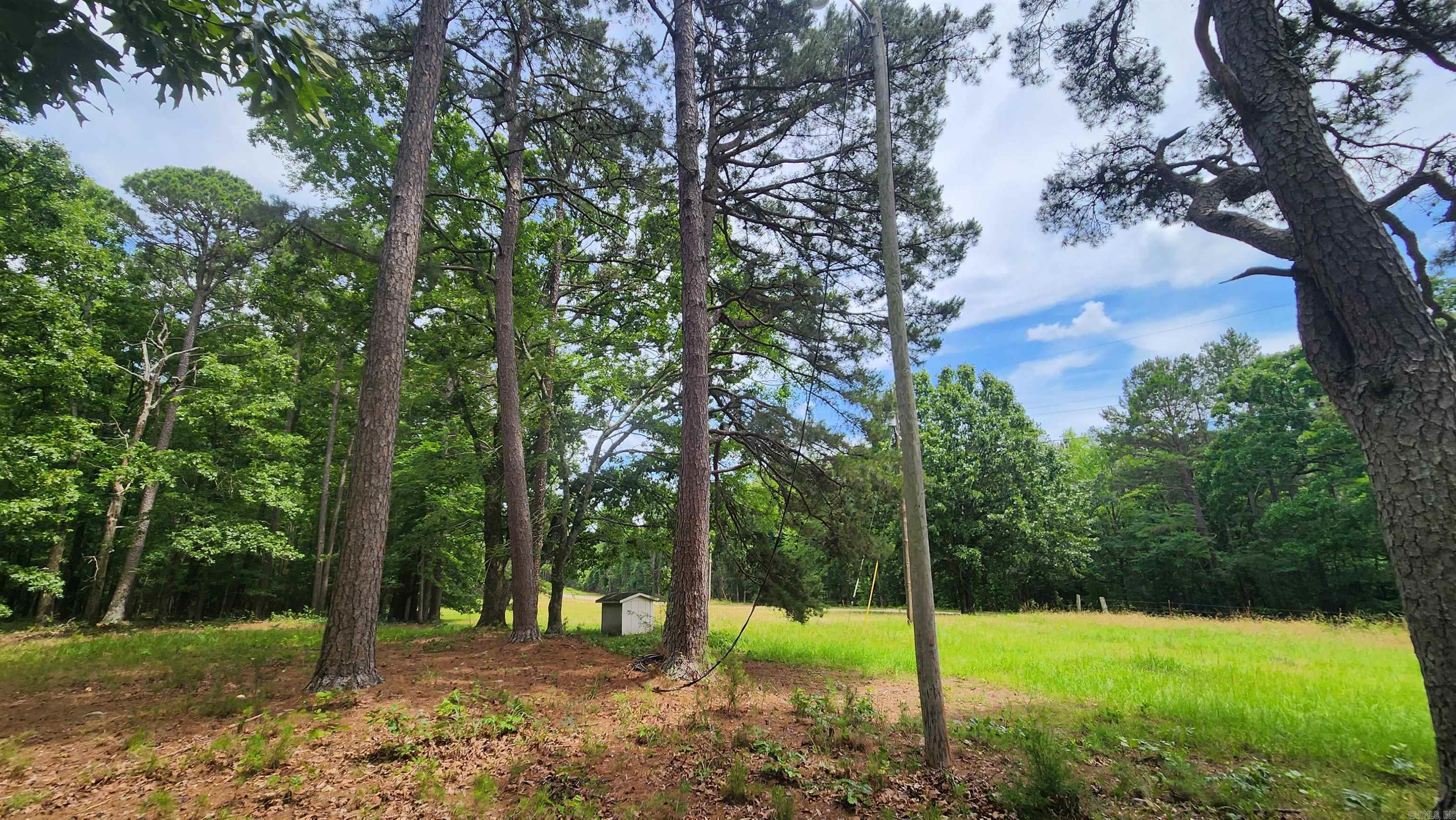 1180 Owley Road  Mount Ida, AR