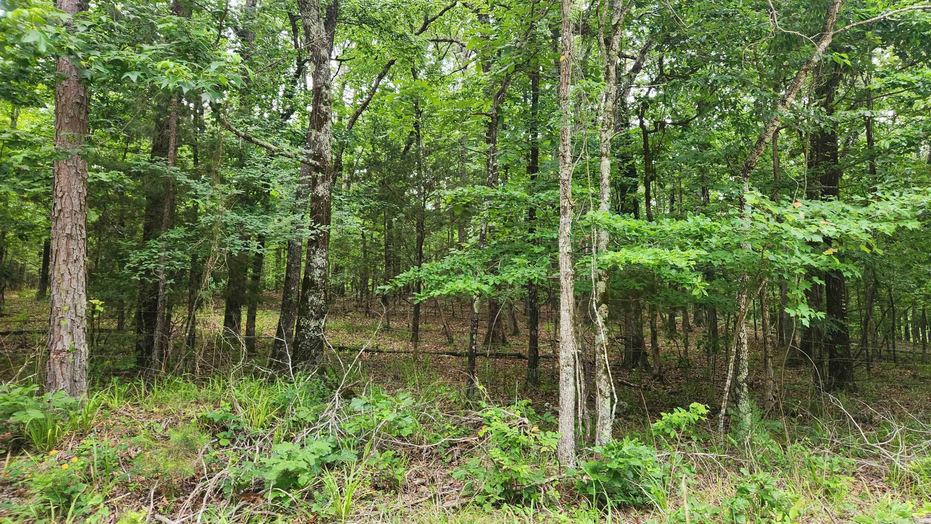 1180 Owley Road  Mount Ida, AR