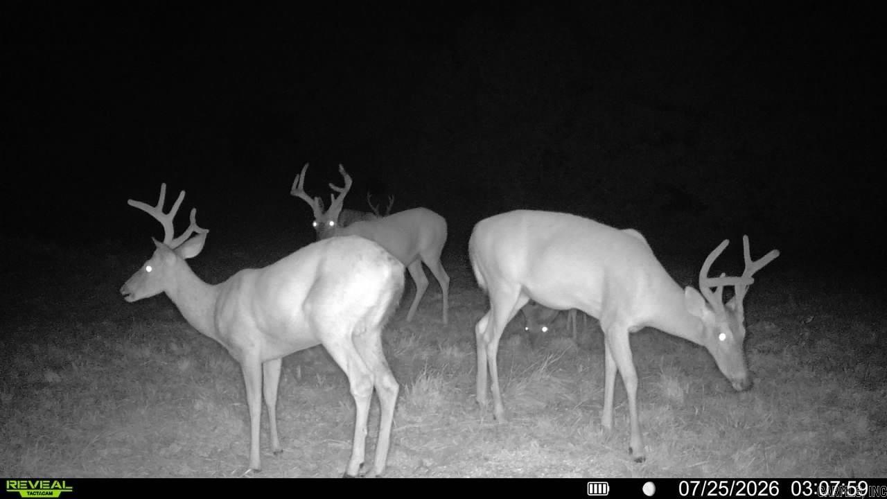 0 Richland  Saint Joe, AR