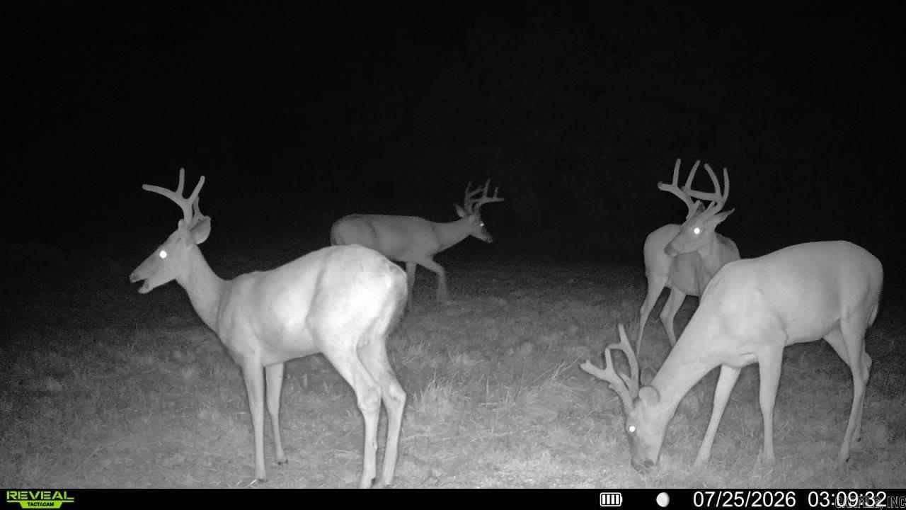 0 Richland  Saint Joe, AR