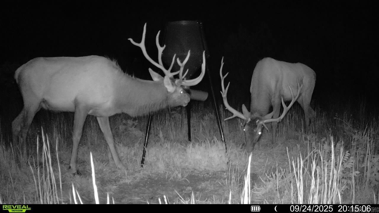 0 Richland  Saint Joe, AR